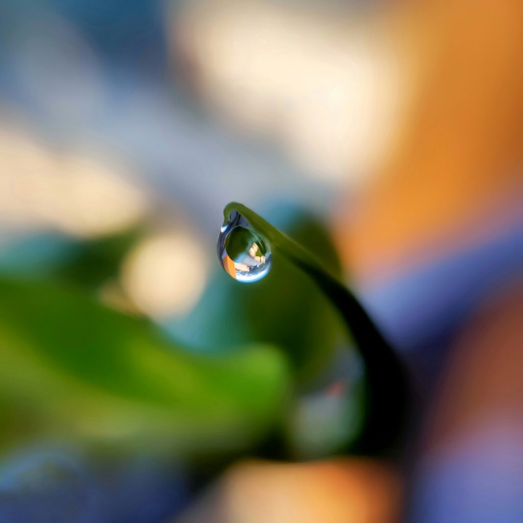 Water Droplets On Glass Pixahive