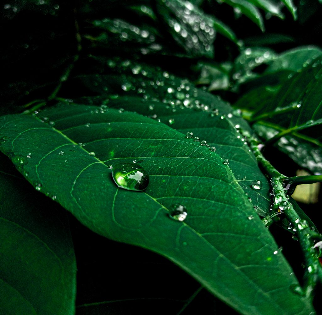 Droplet Of Water Pixahive