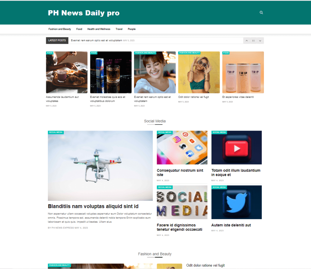 PH News Daily best wordpress themes for blogs