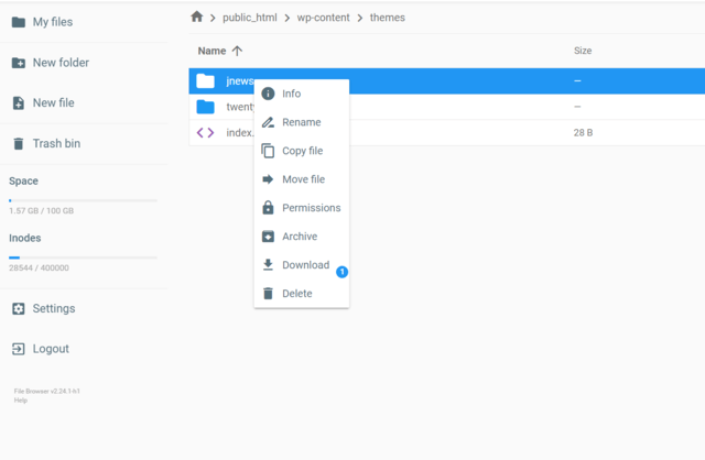 delete theme via hosting panel