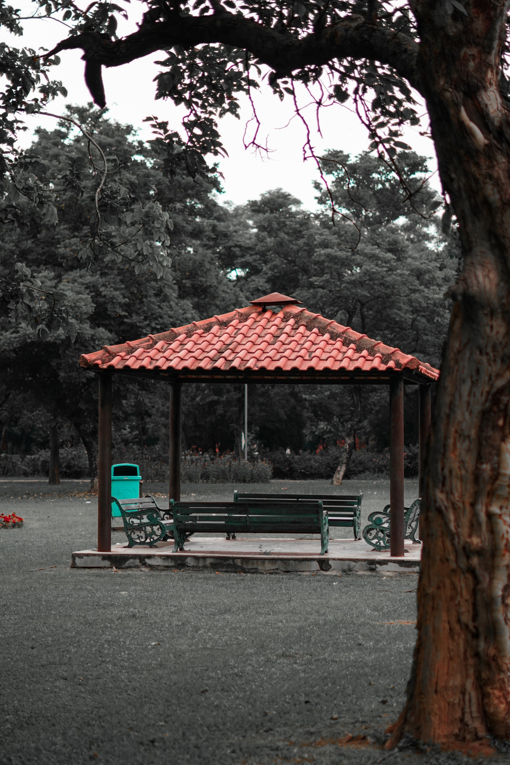 A Hut in Chandigarh Garden