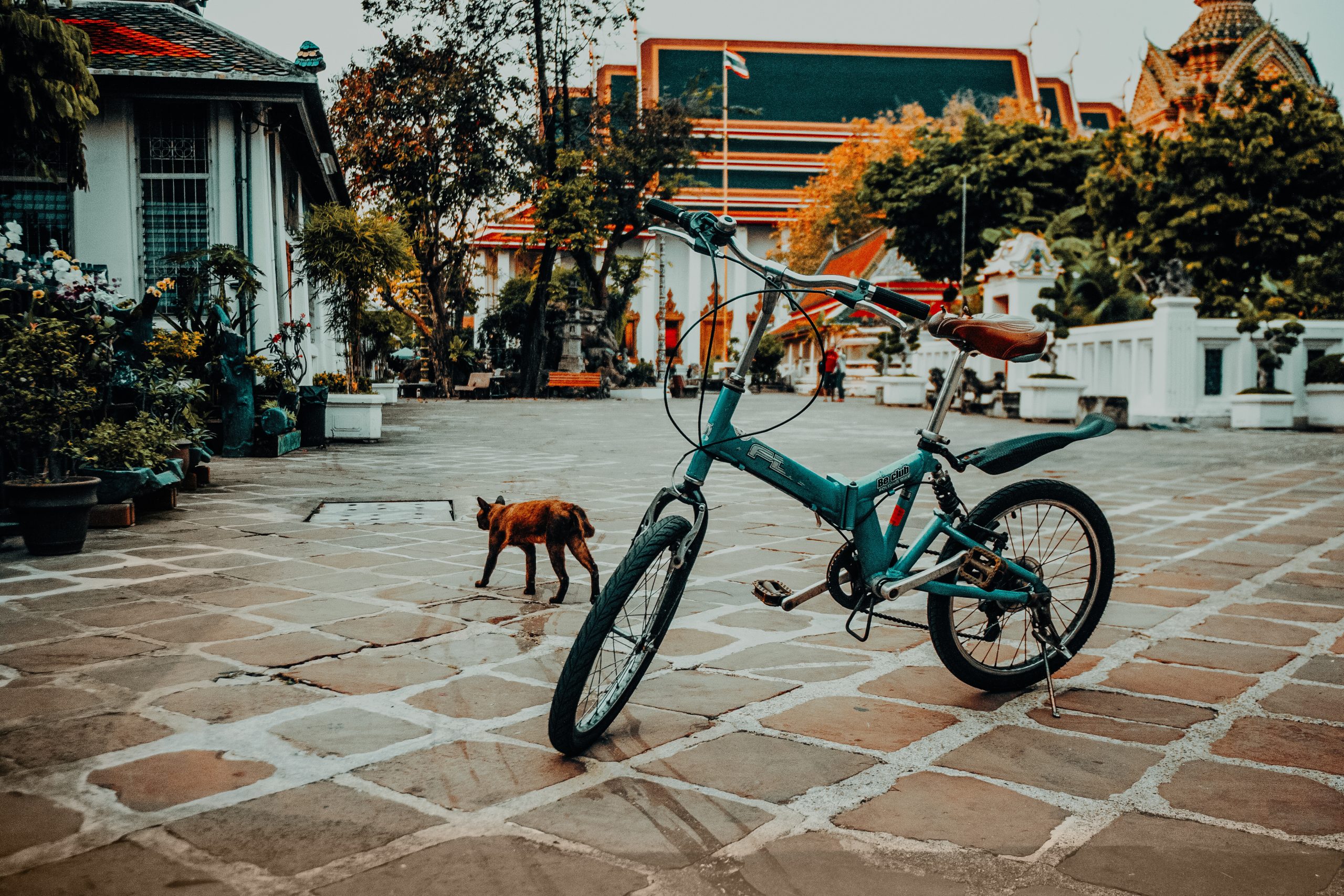 Bicycle in Wat Pho – Thailand