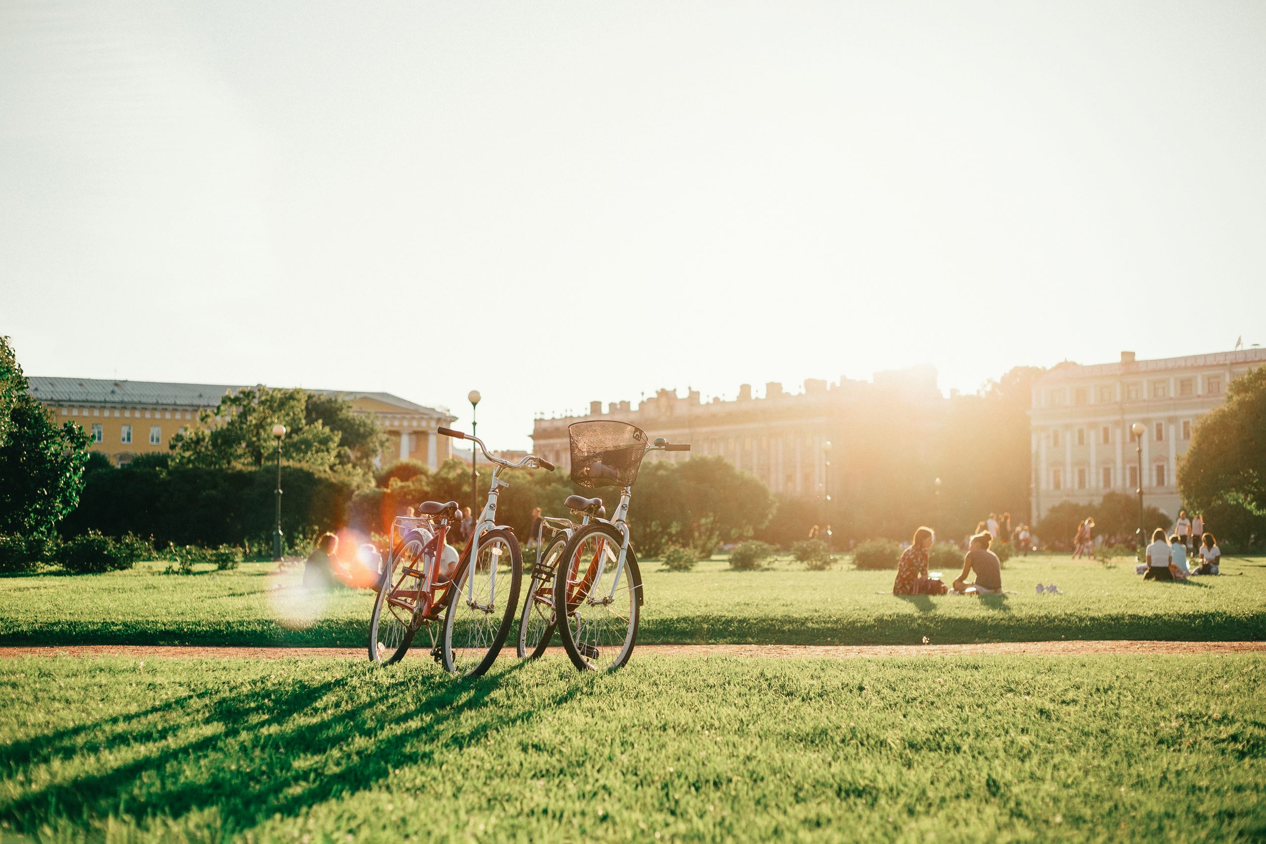 Bicycles in a park