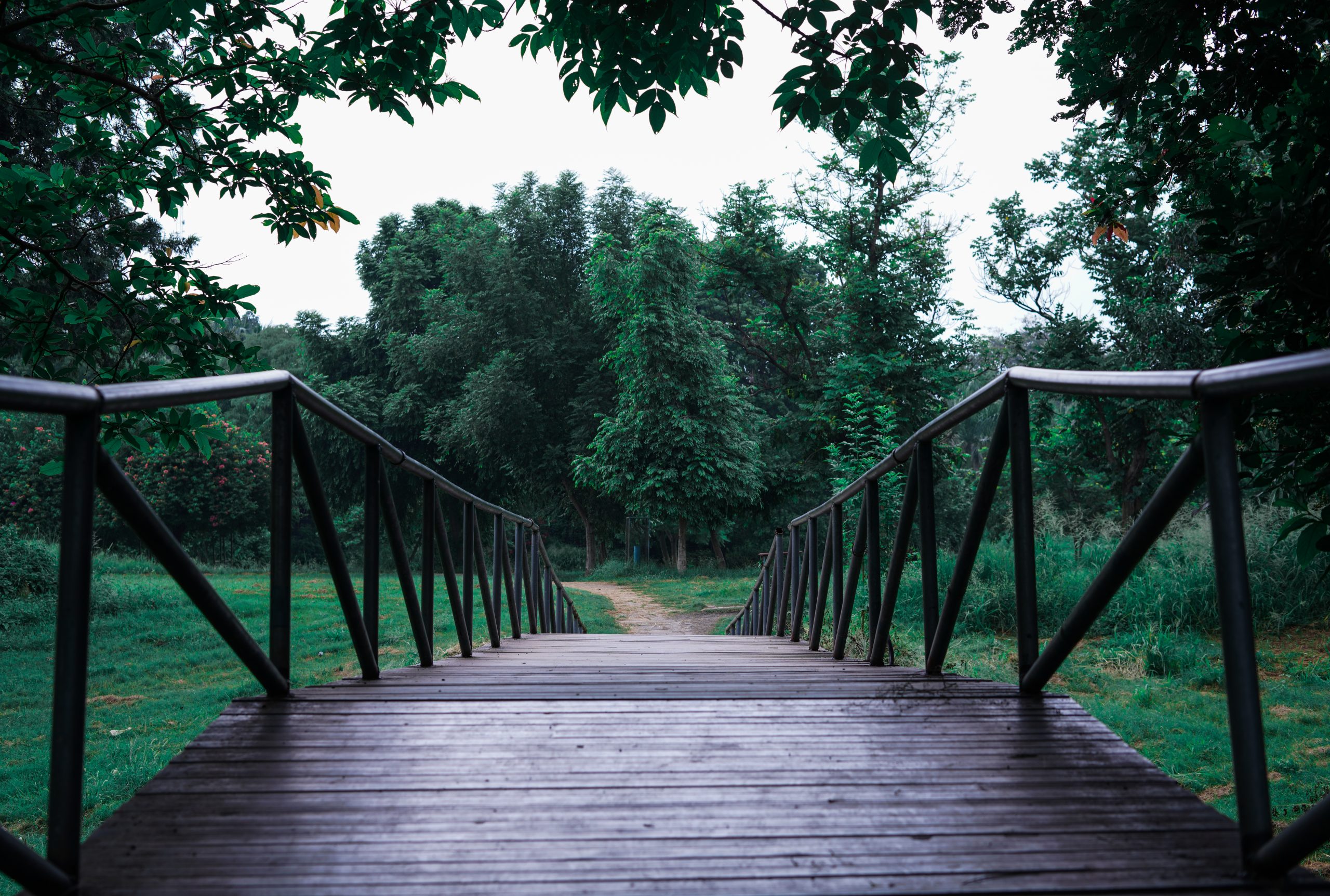Bridge of garden
