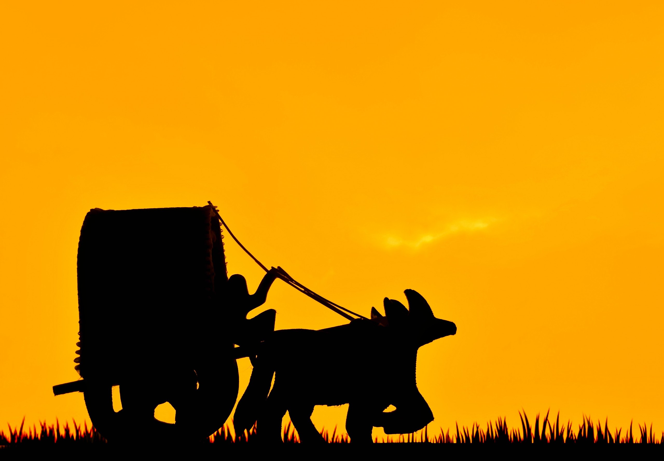 Bullock cart silhouette