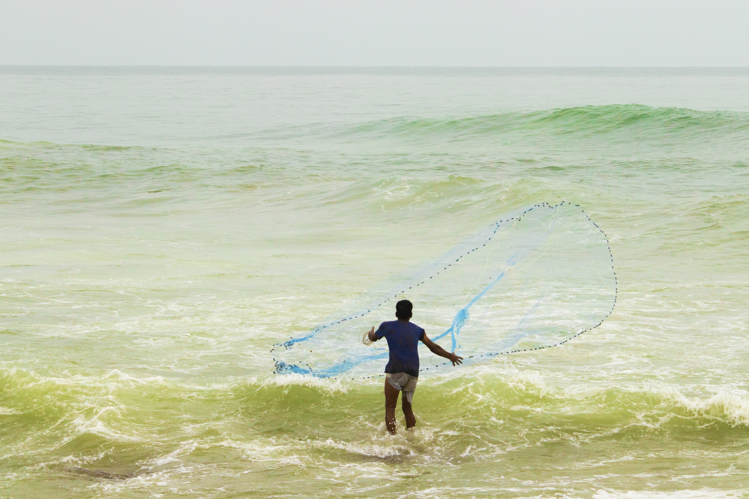 Casting the net