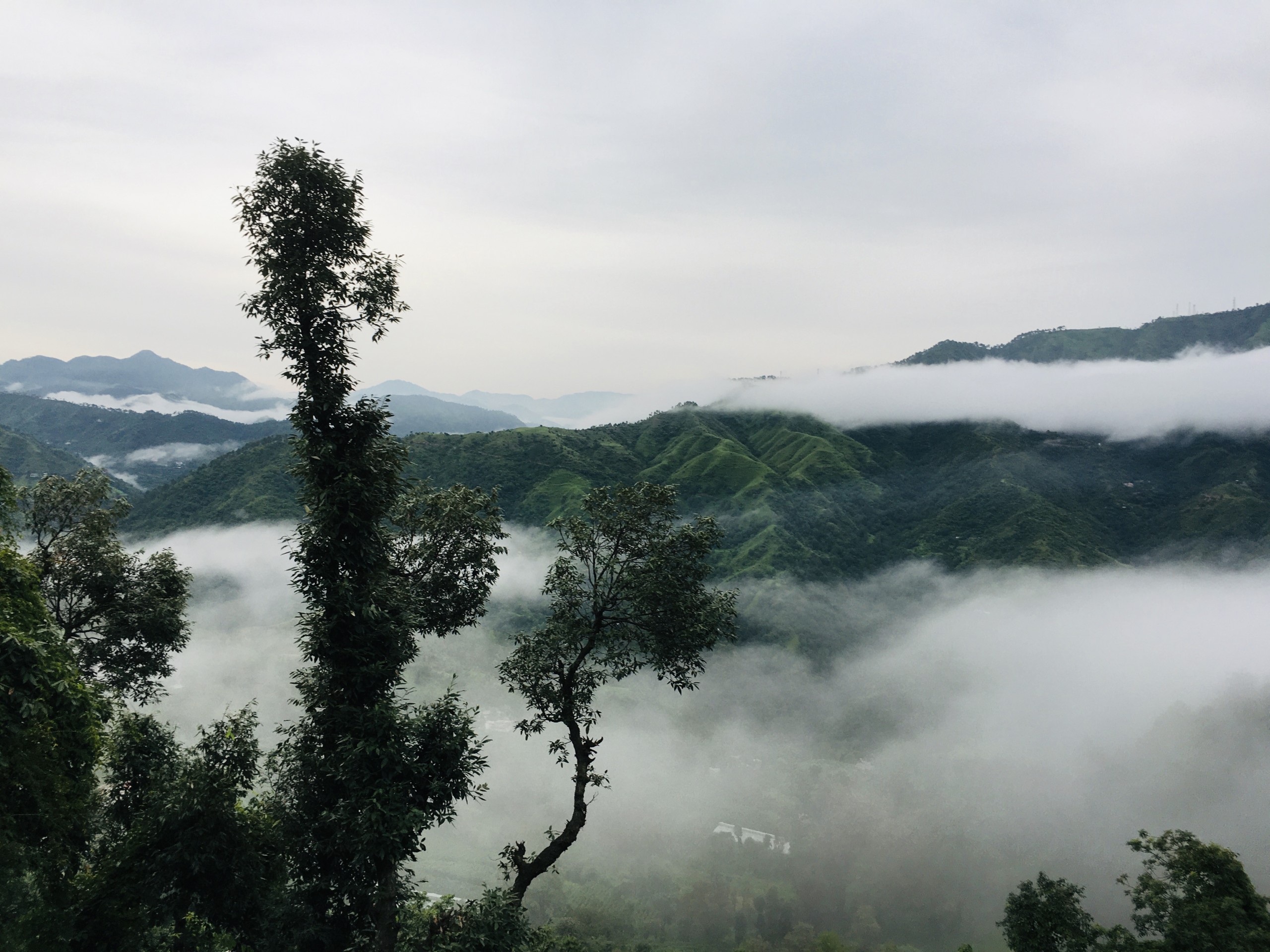 Fog over the mountains