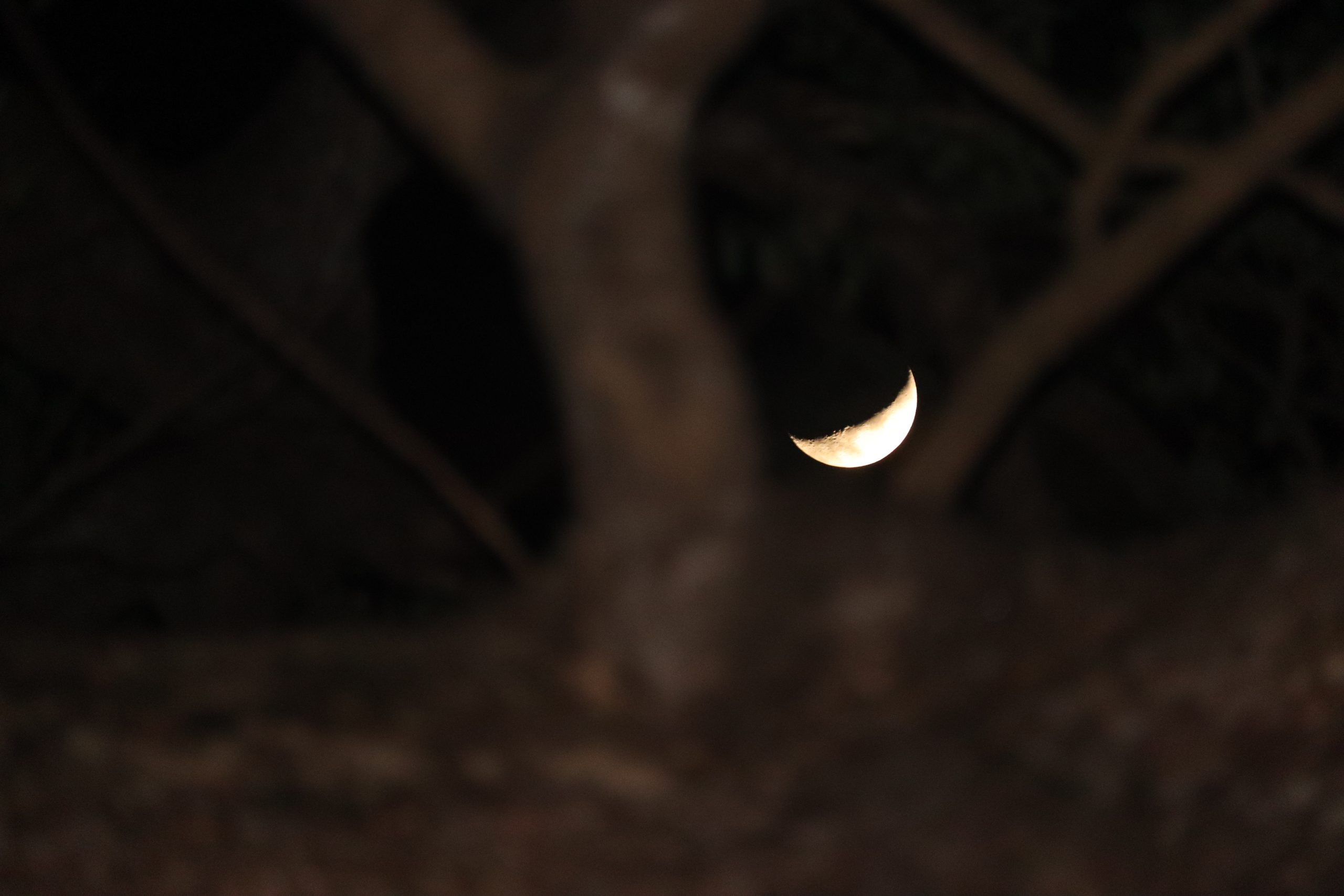 Crescent Moon in the dark night