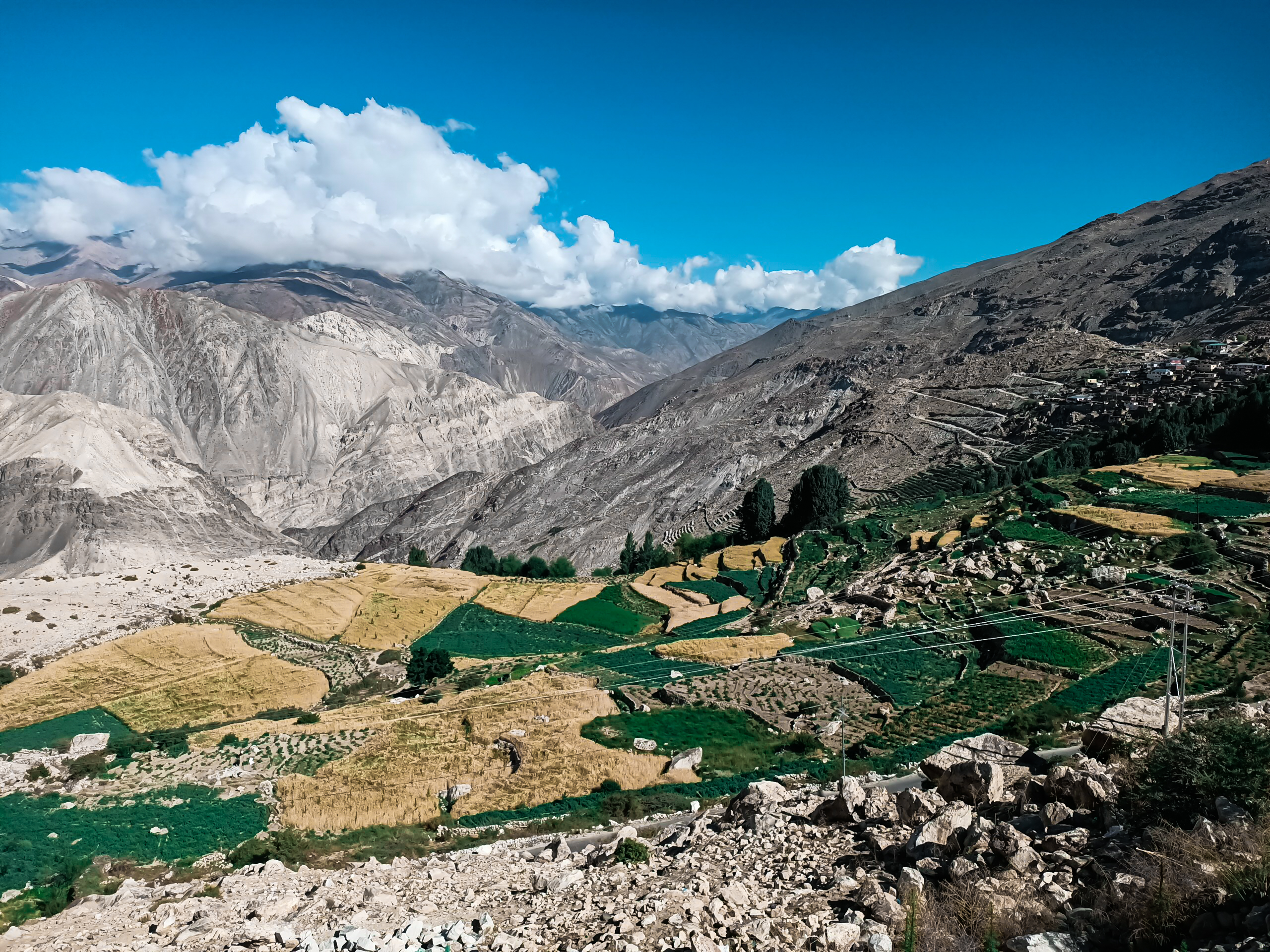 Terraces of Crop in Hills Landscape