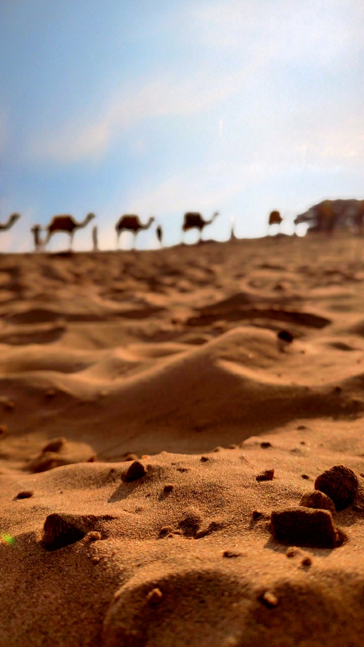 Jodhpur Desert in India