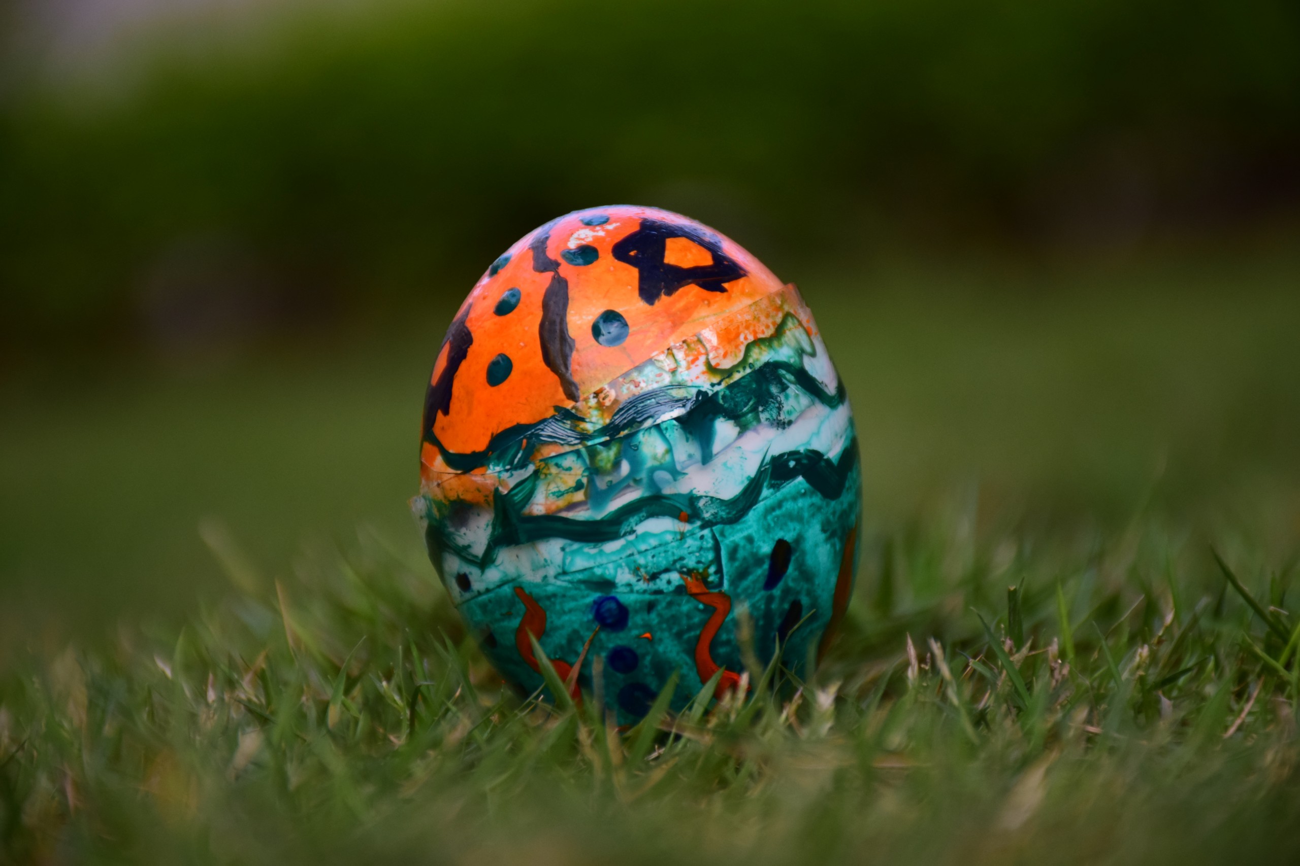 Easter Egg on the Grass