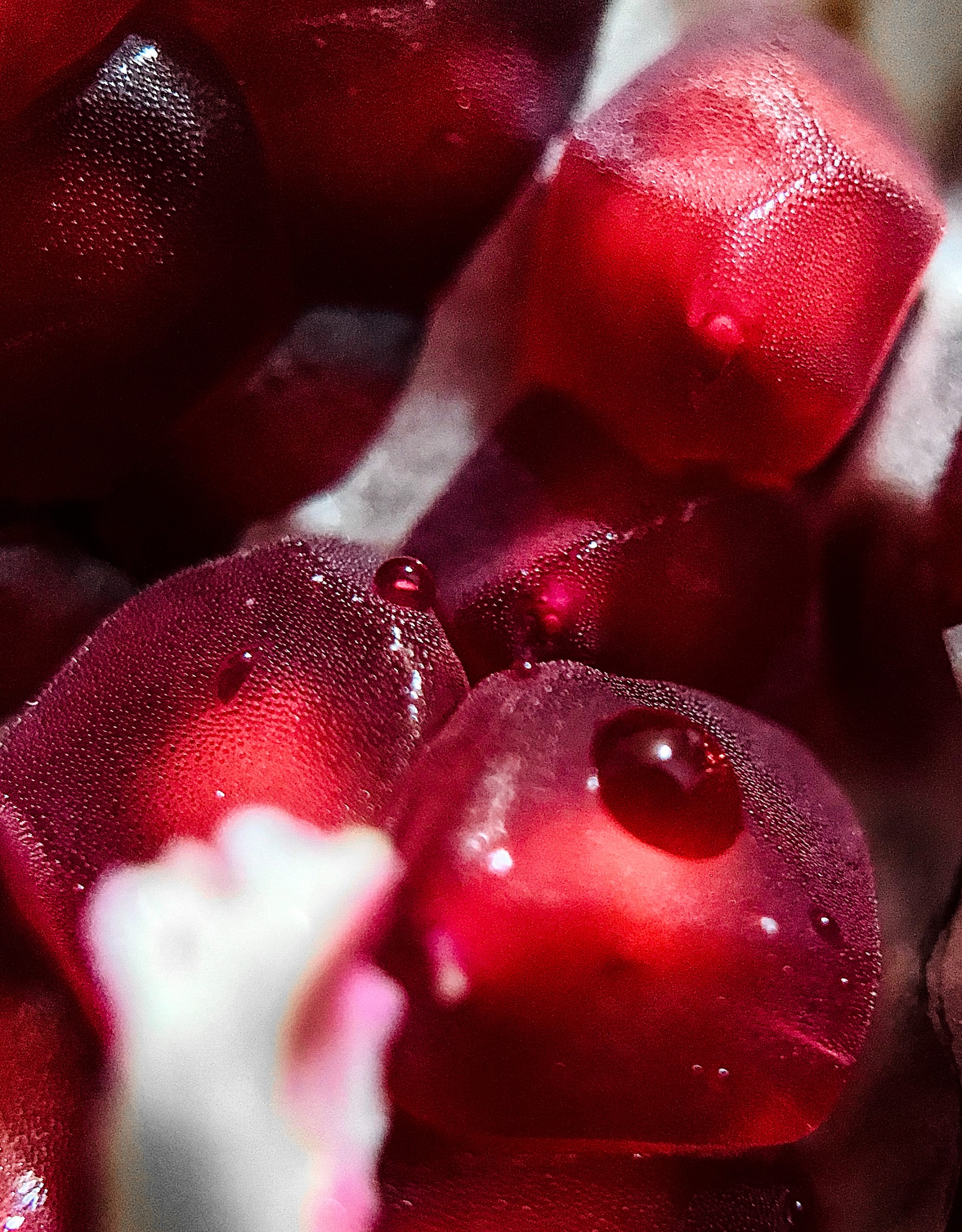 Fresh Pomegranate seeds