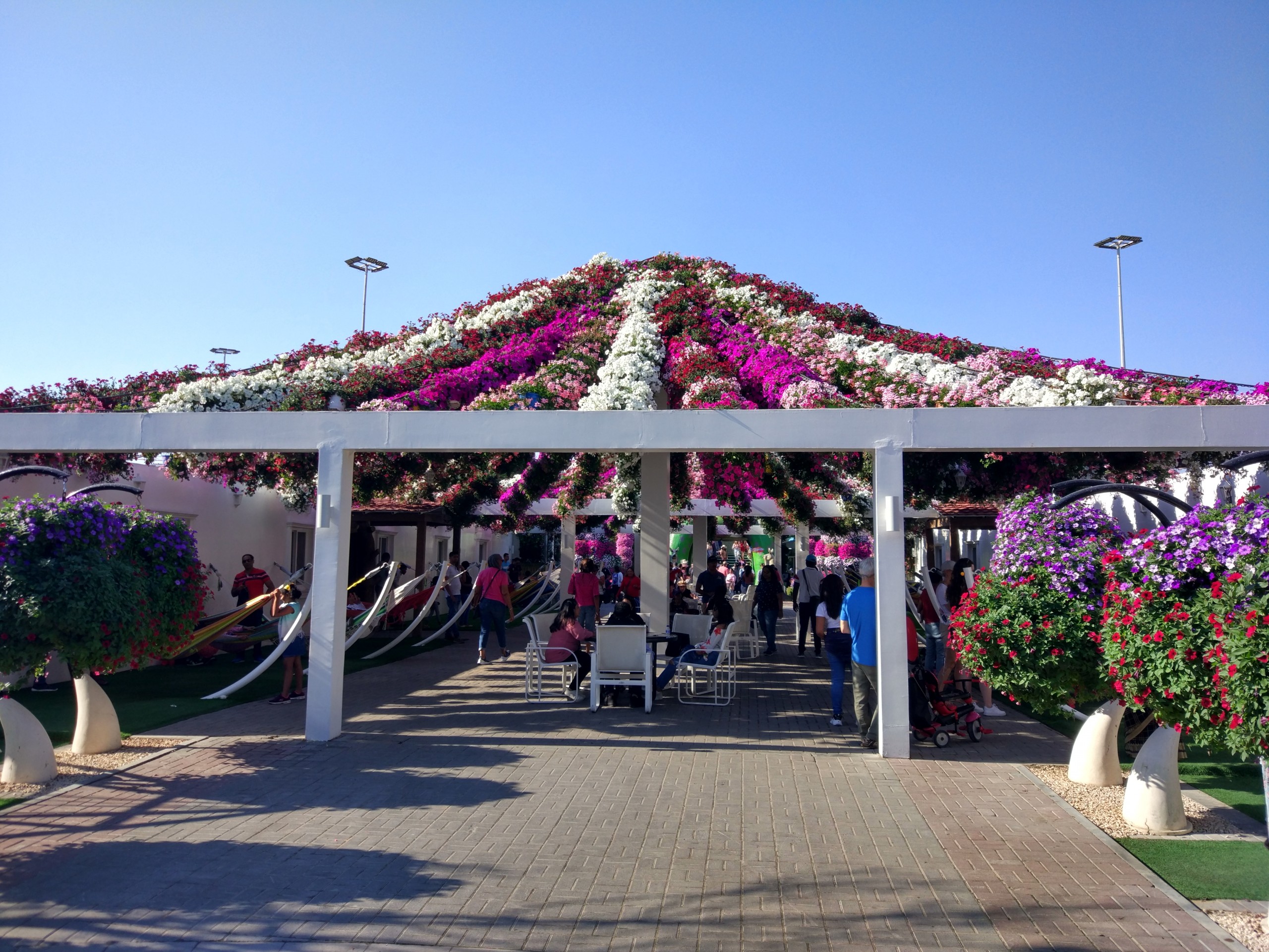 Glimpse of Miracle Garden