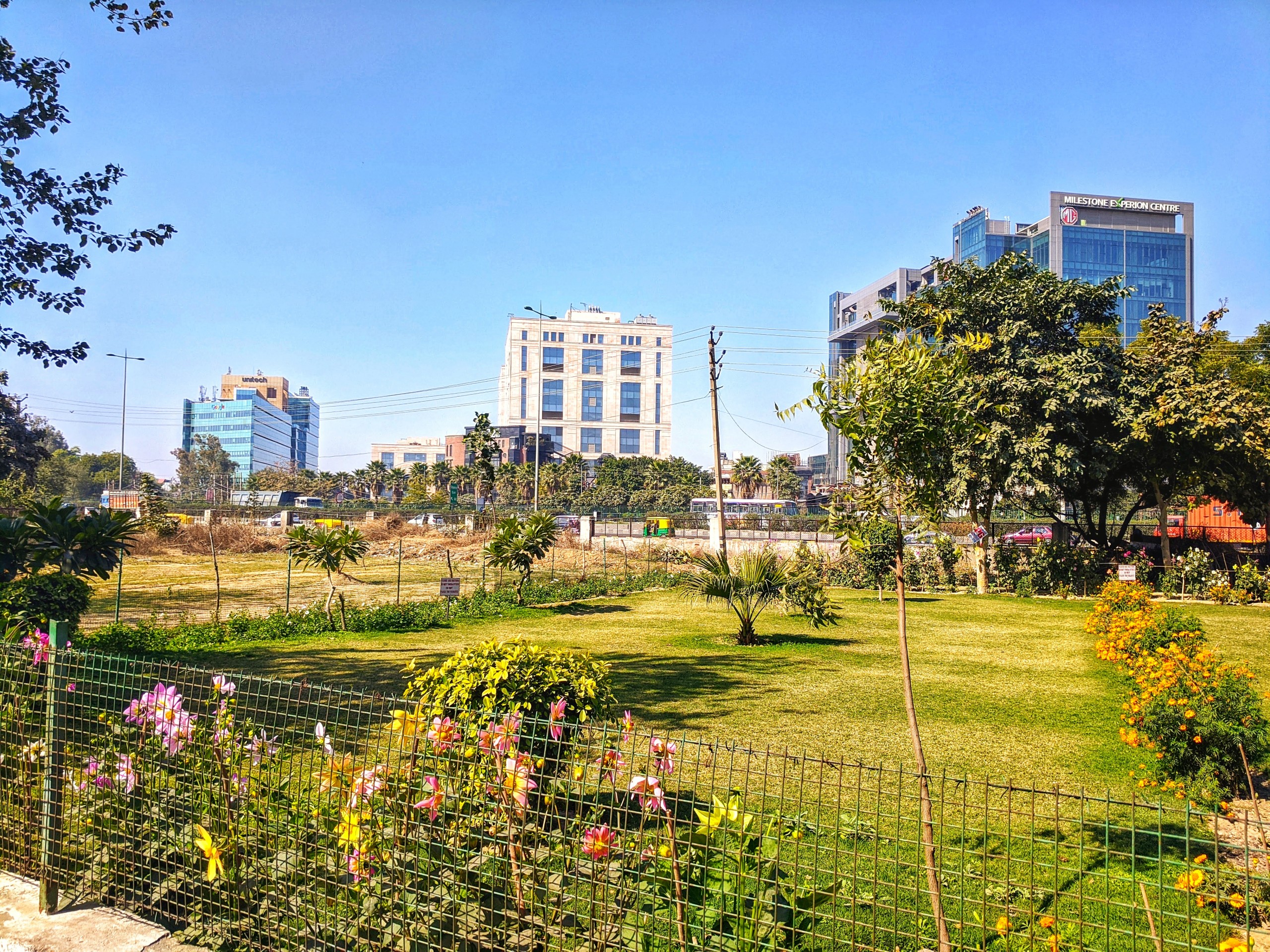 Buildings and Roadside Plants