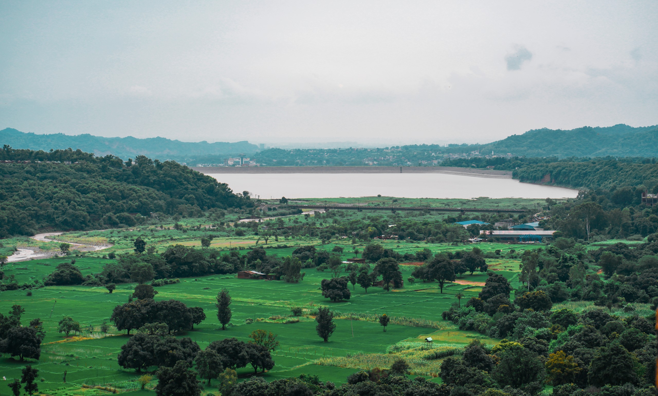 Greenery Landscape in Morni Hills