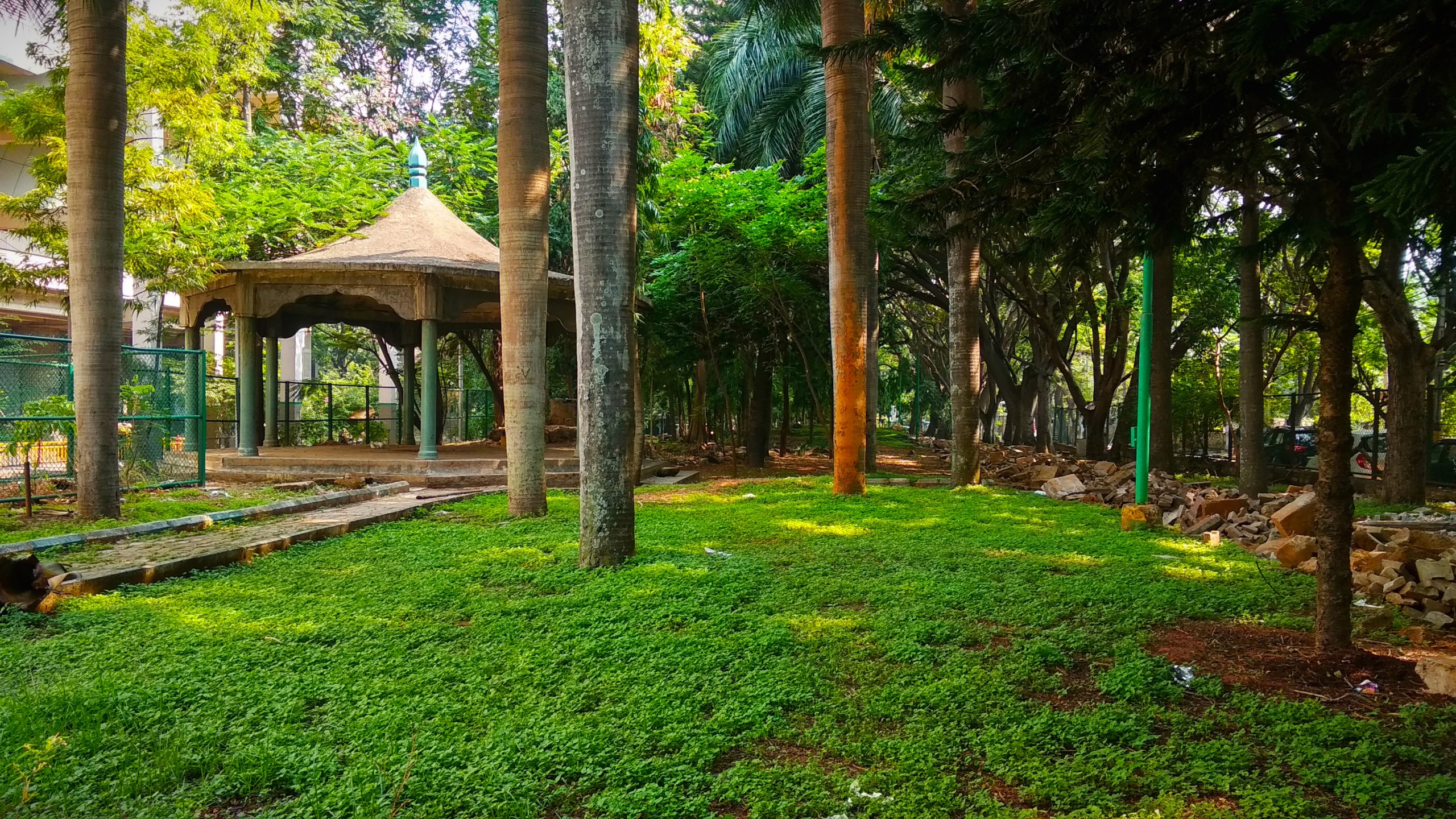 Greenery of a park