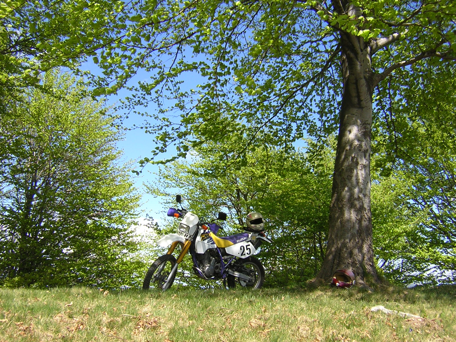 Motorbike among green field