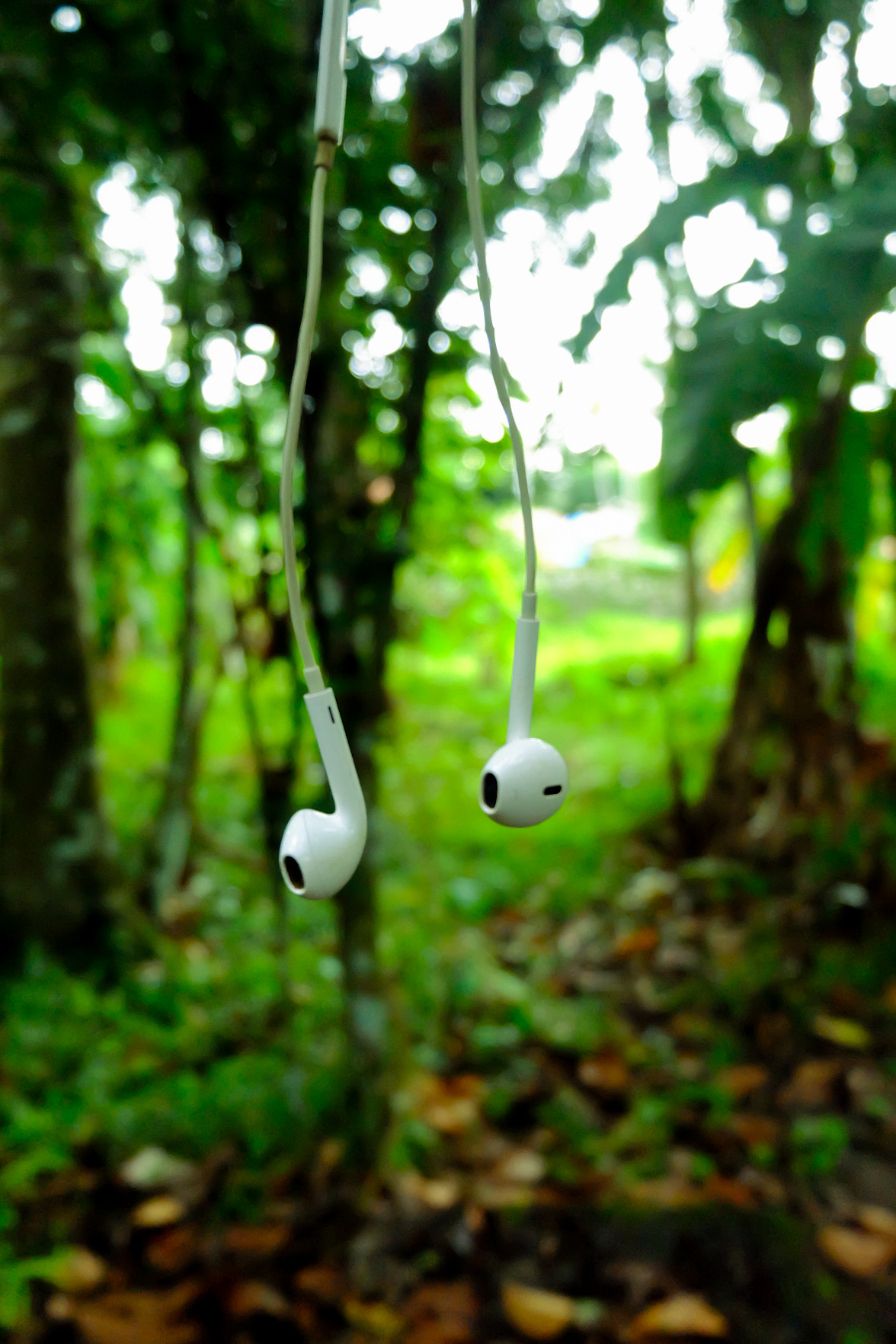 In-ear earphones hanging upside down