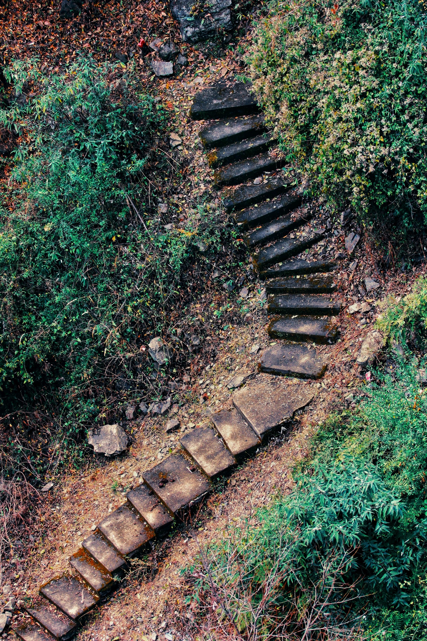 Old stairs in nature