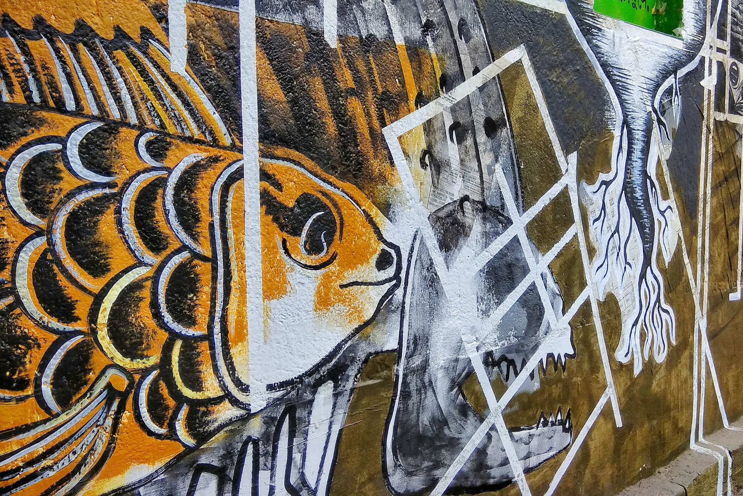 fish grafitti