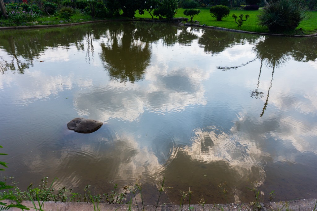 Reflection of cloudy sky in a pond PixaHive