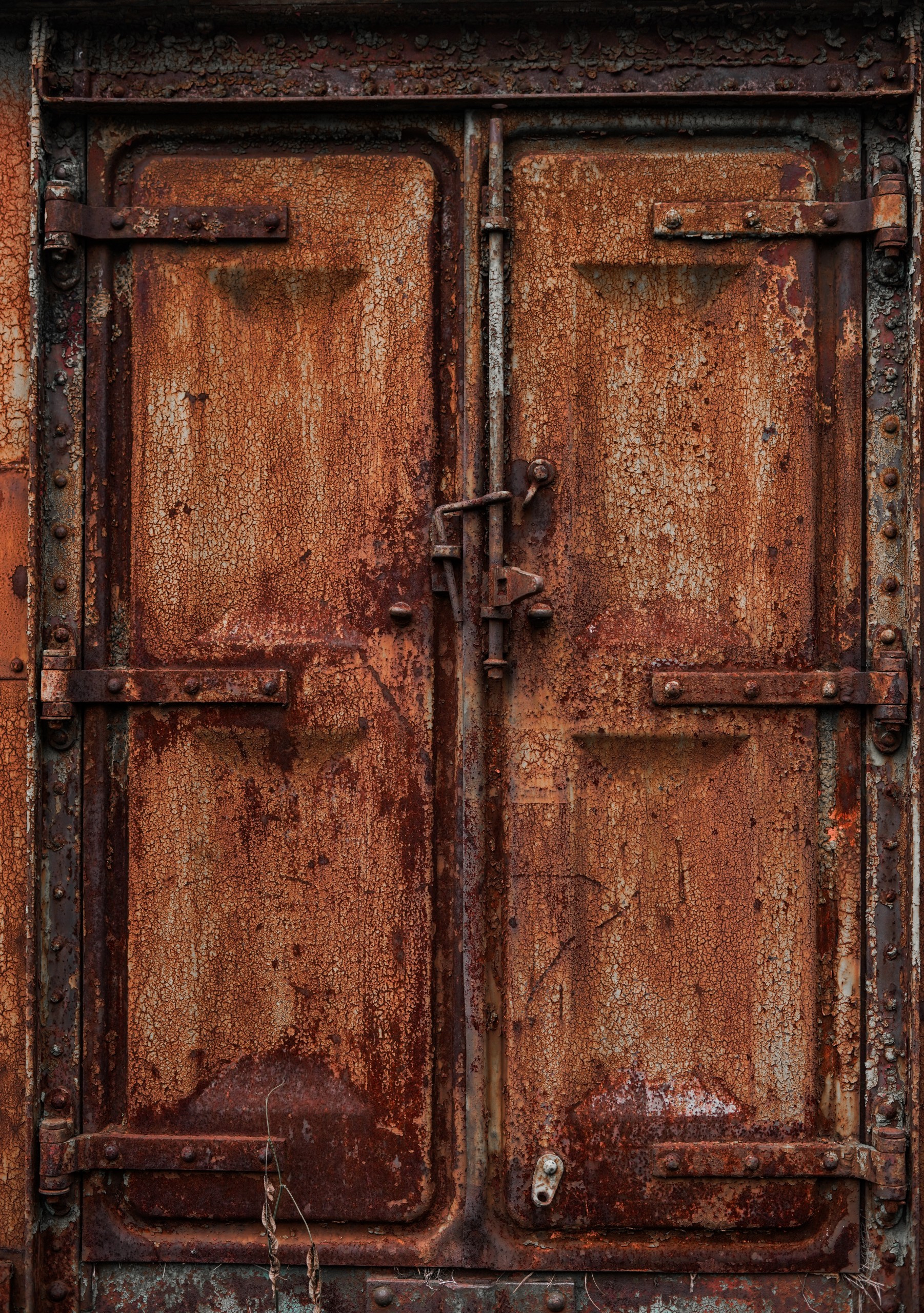 Rusted Door of Train Box