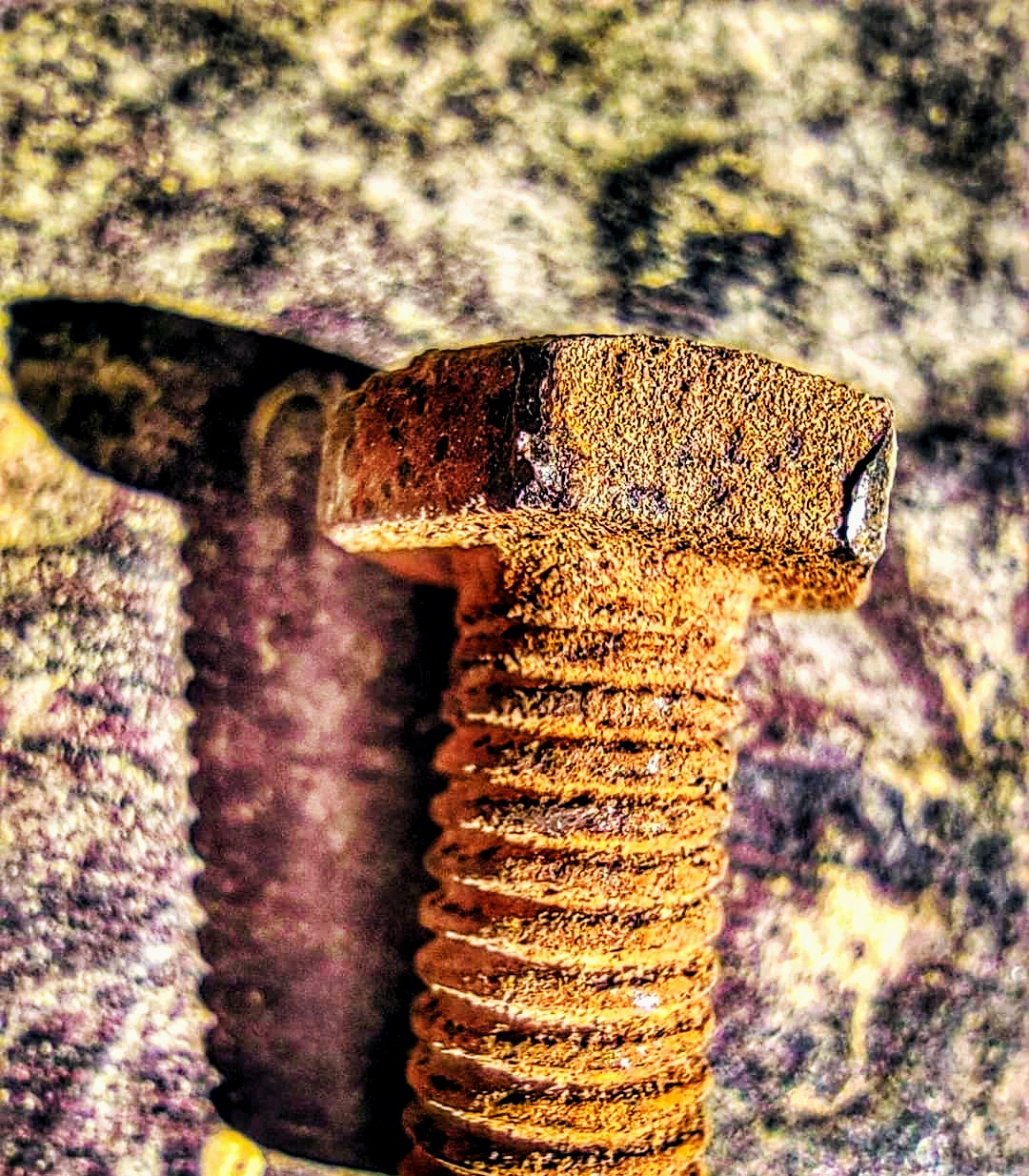 Rusted bolt on Focus