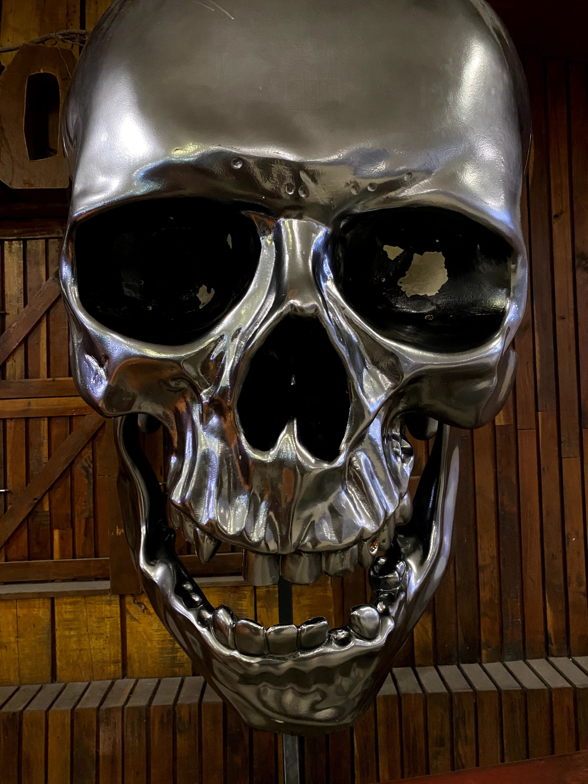 Metallic Skull