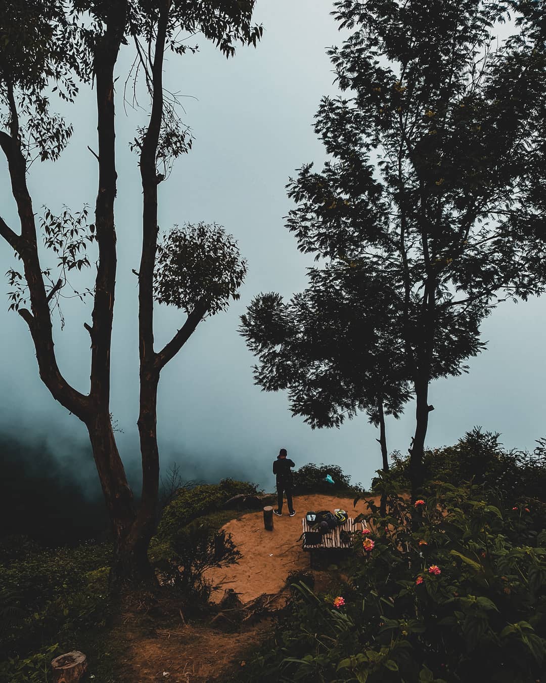 Foggy Mountain Trip