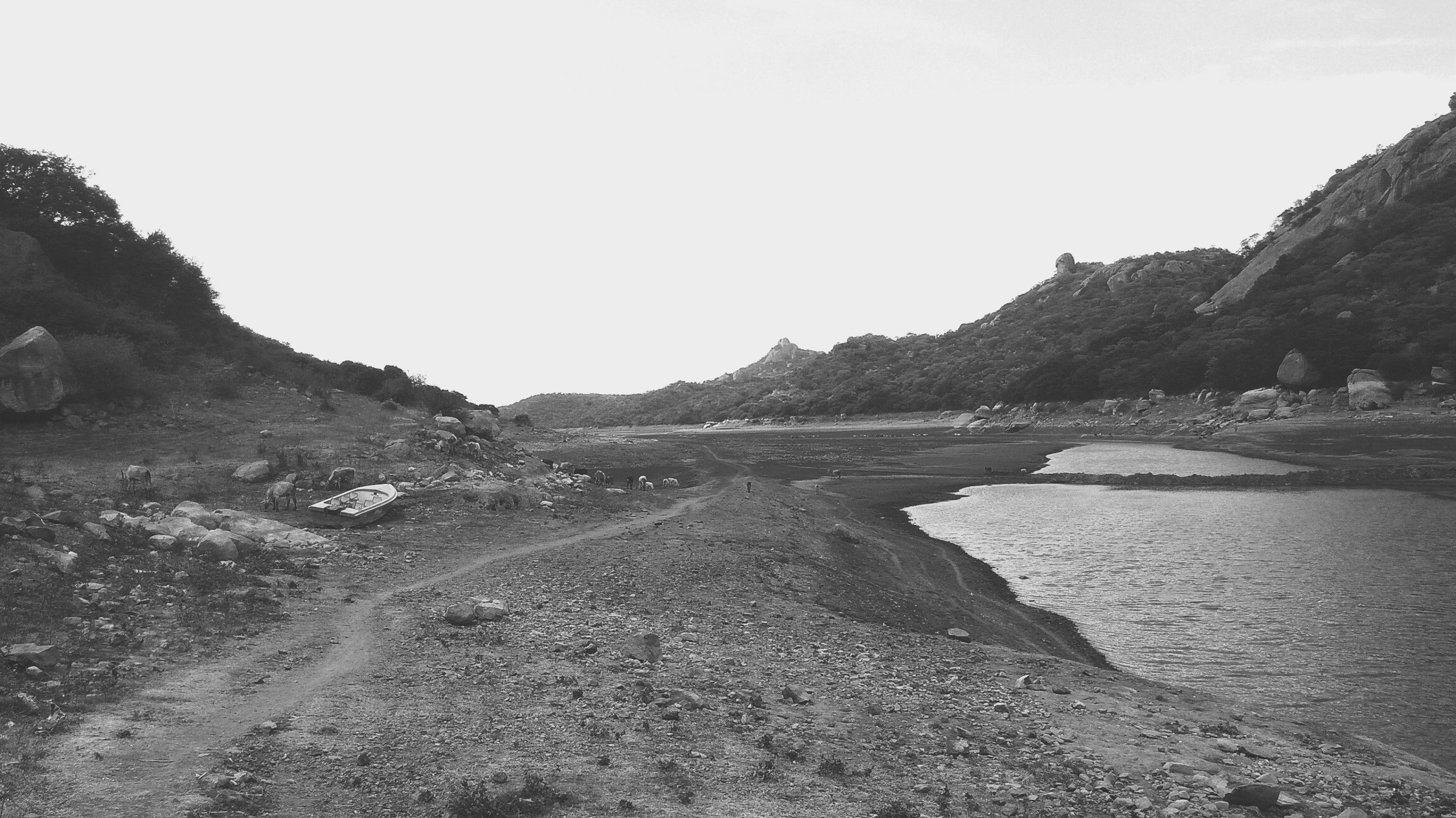 Lake Side Landscape