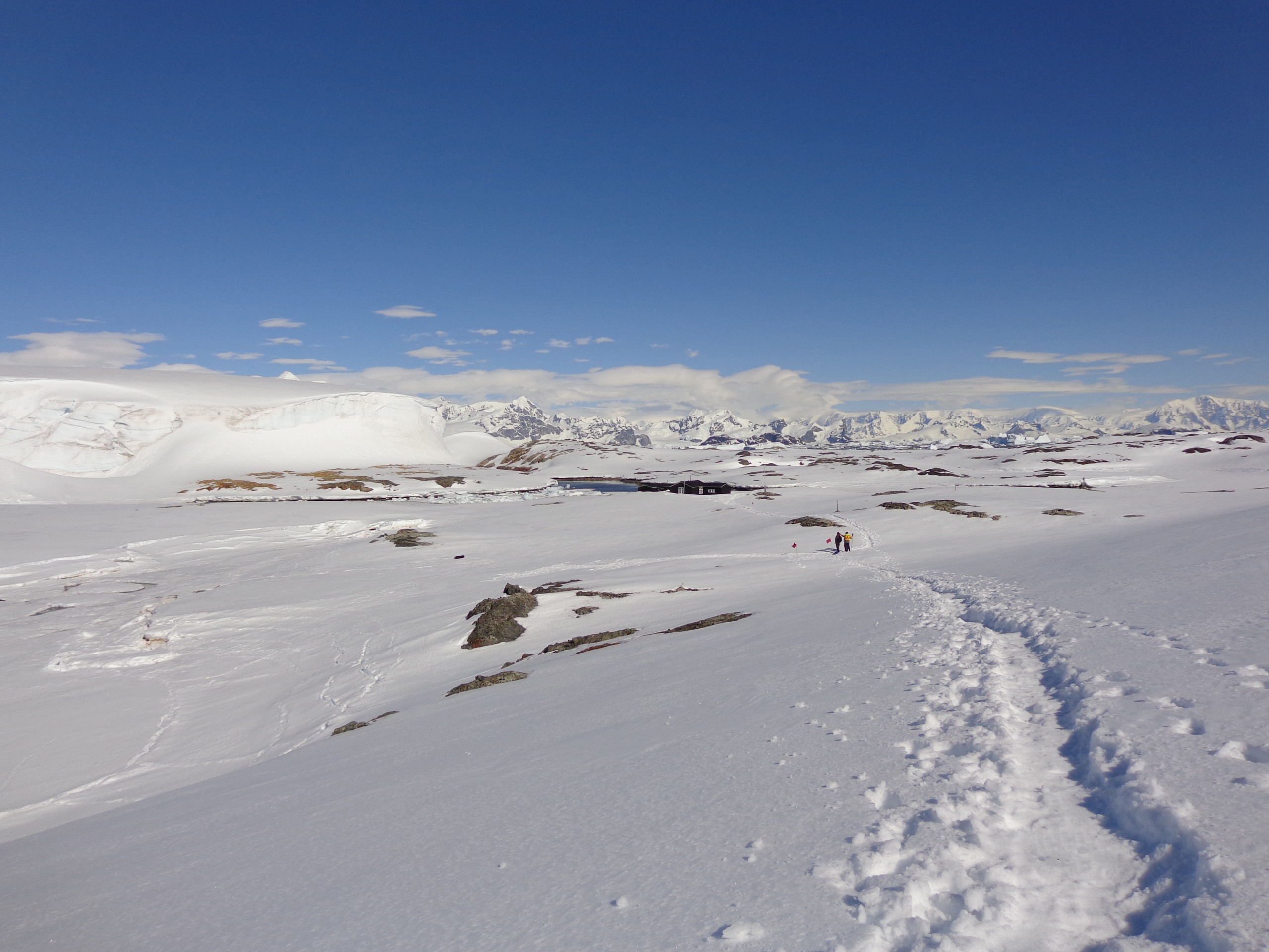 Snowy Winter Panorama