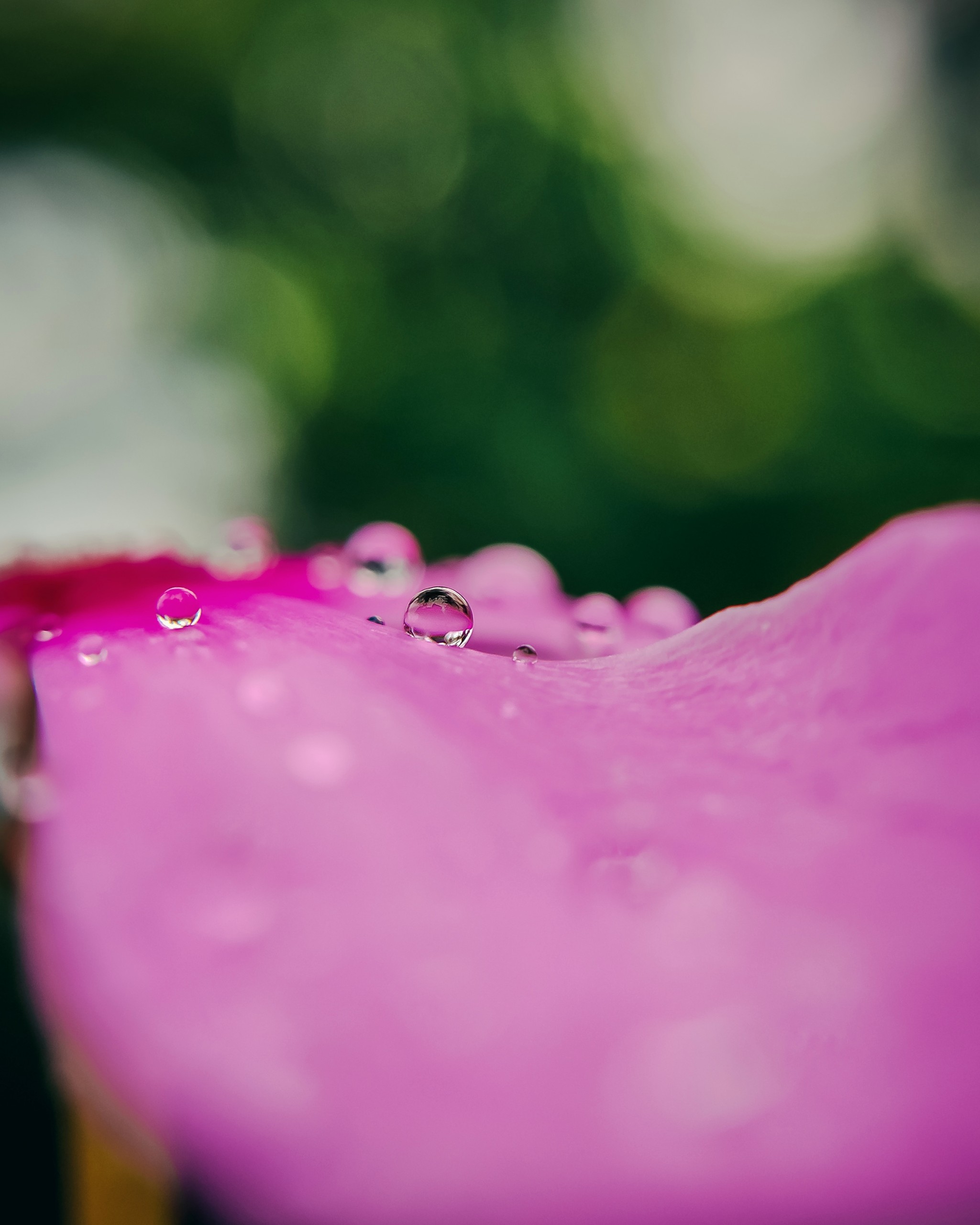 Tiny Rain Droplet