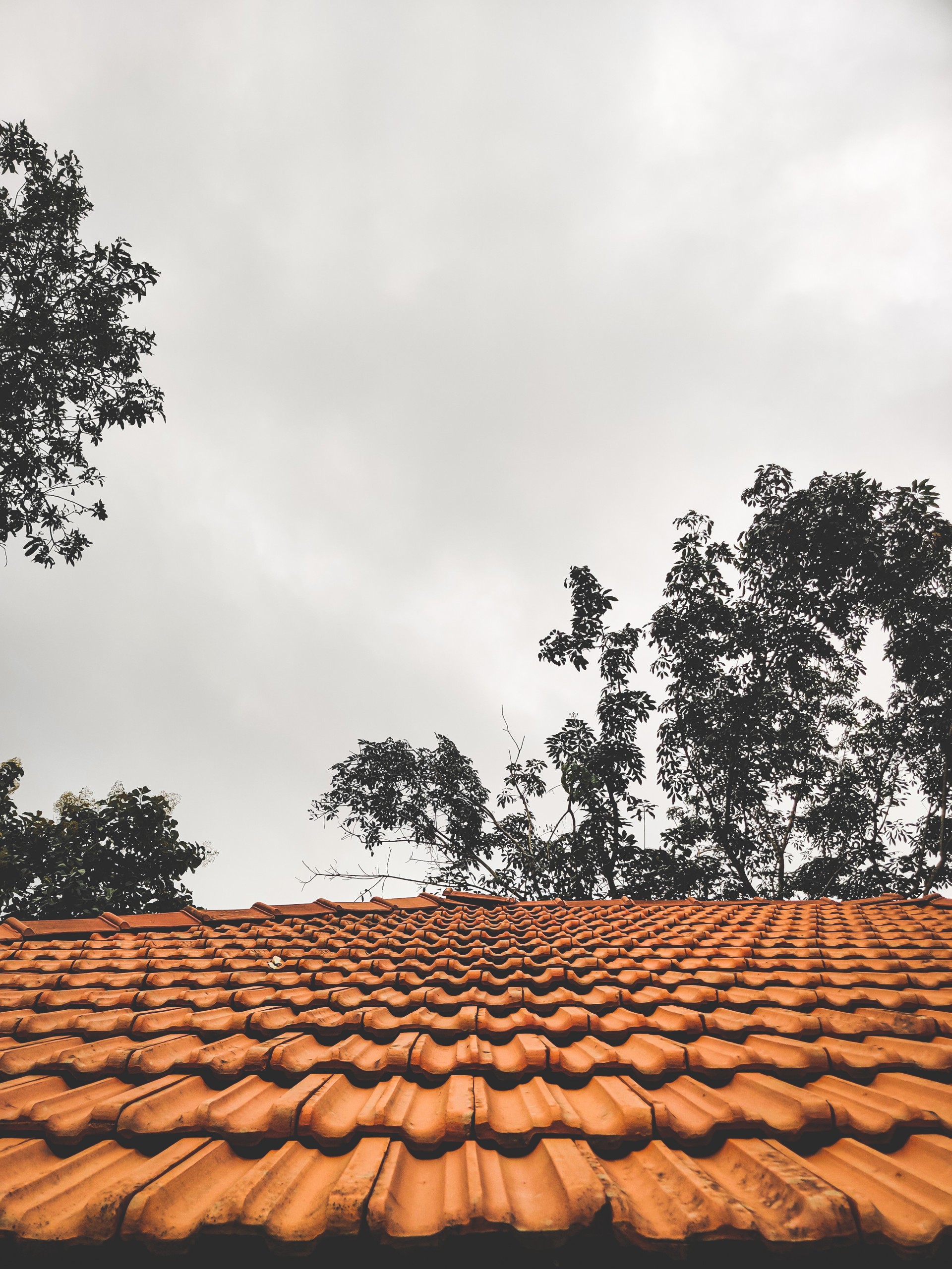 Top of the house