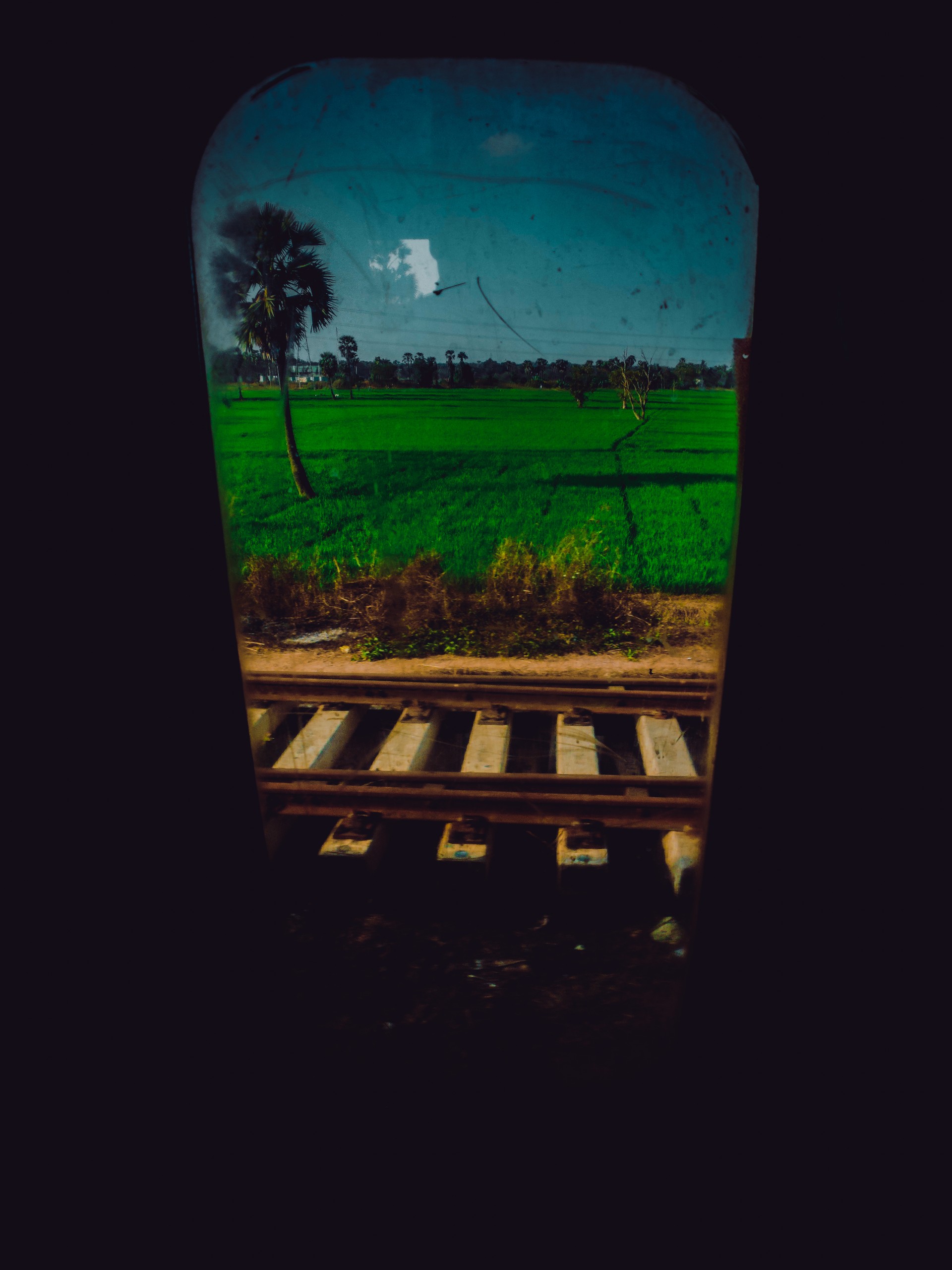 Window on Railway Nature Scenery