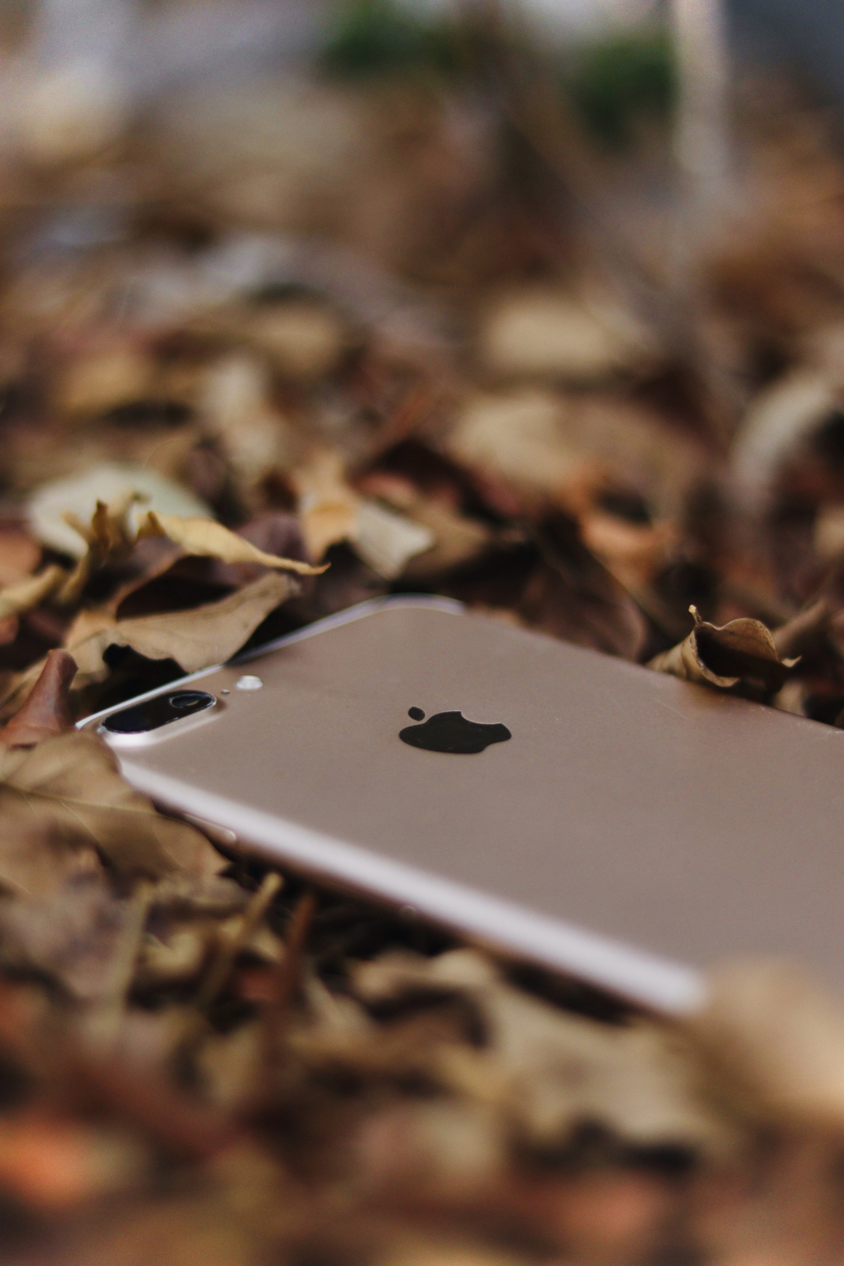 iPhone 7 Plus on Leaves