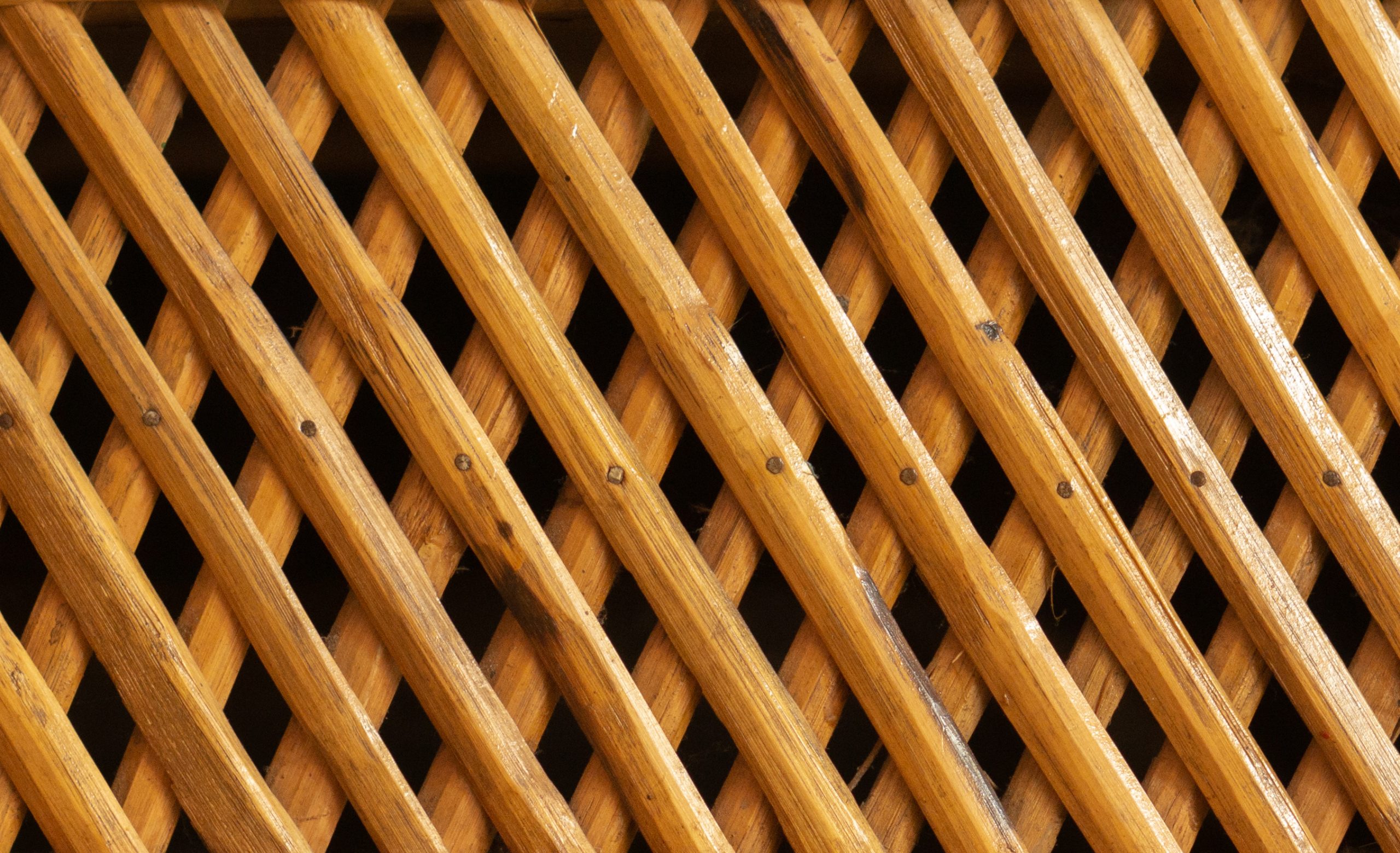 A Bamboo Mesh