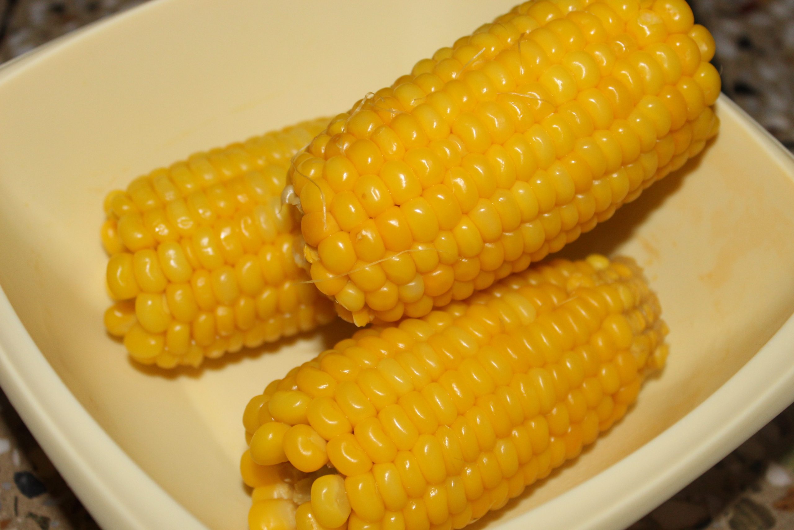 A Corn in a Plate