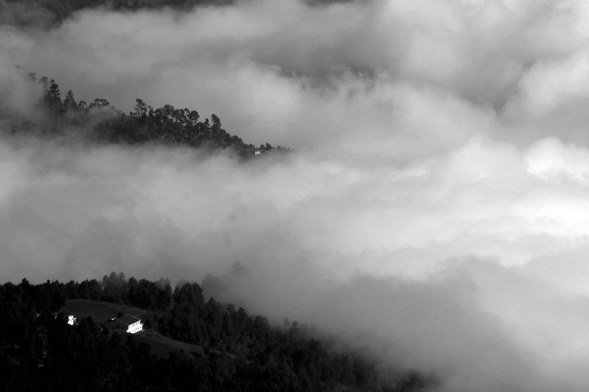 A Misty Mountain in Black and White