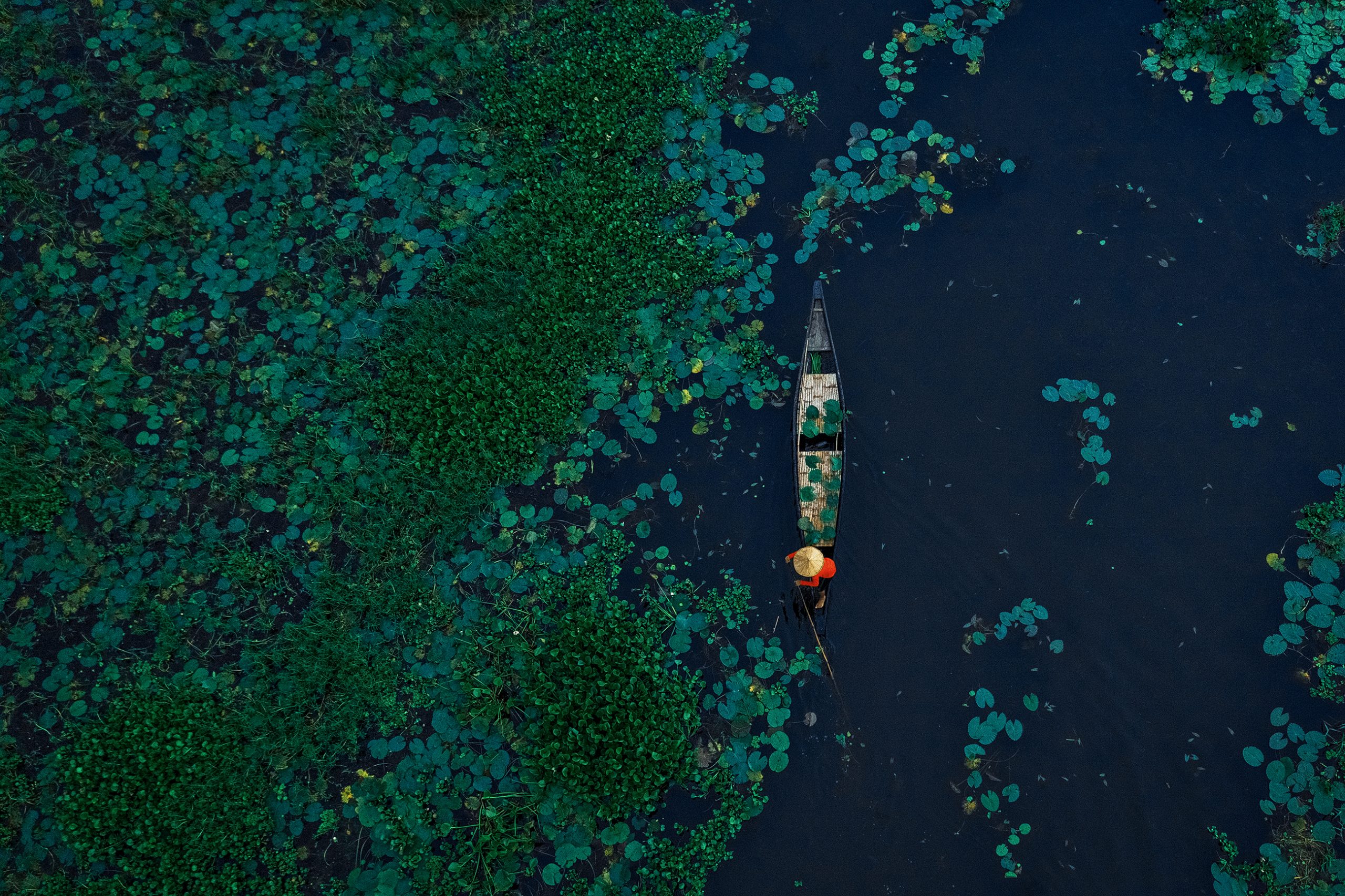A boat in a lake