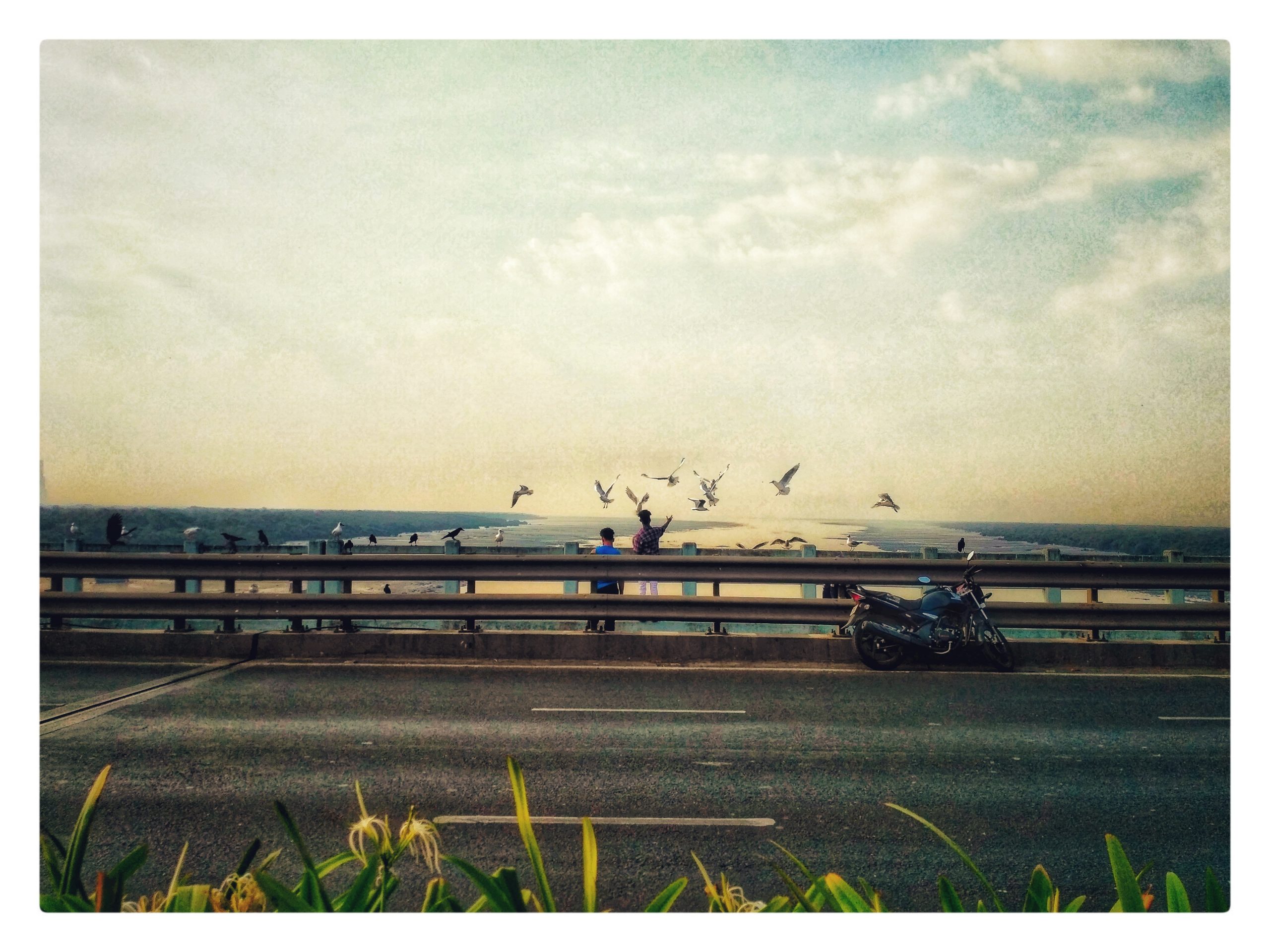 A bridge in Mumbai