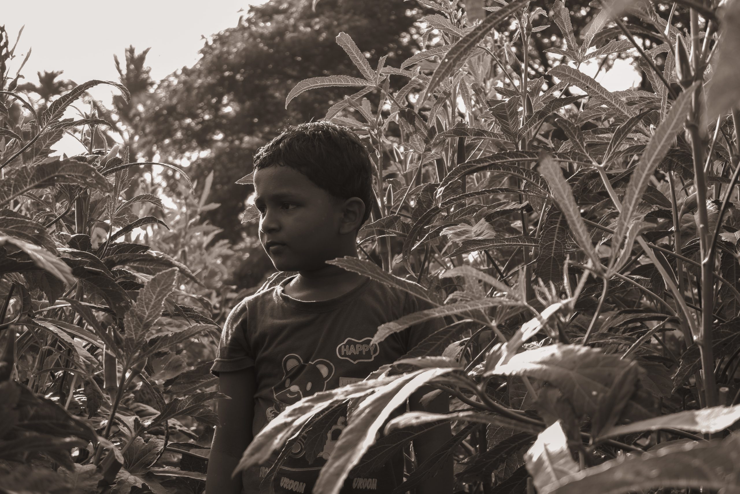 A kid in a jungle