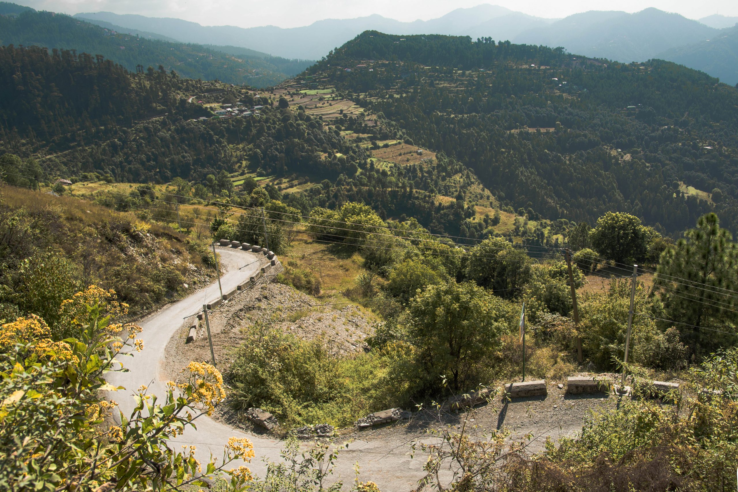 A road passing through hills of Naldehra.