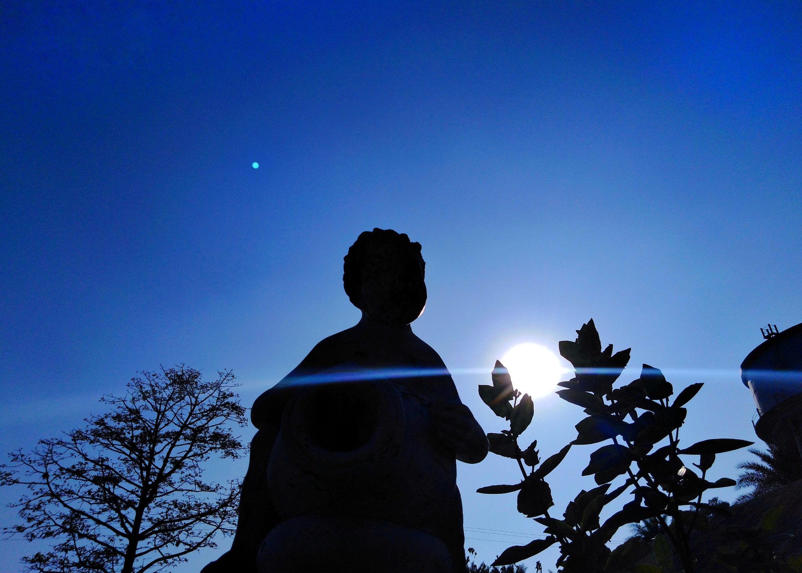 A statue in daylight