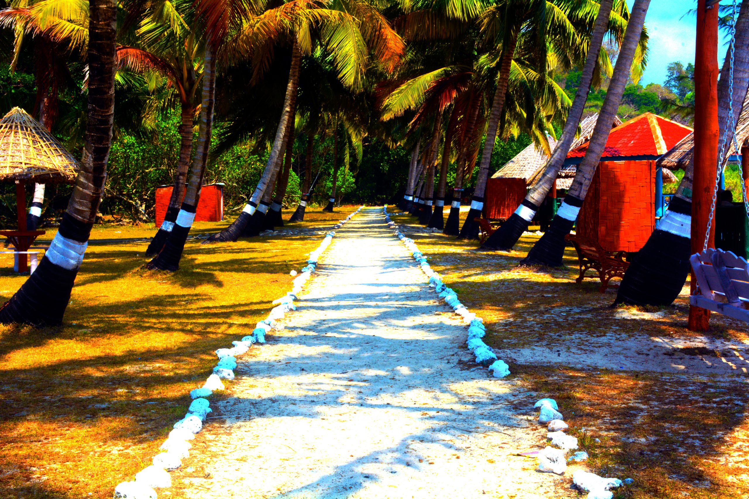 A walkway of a park