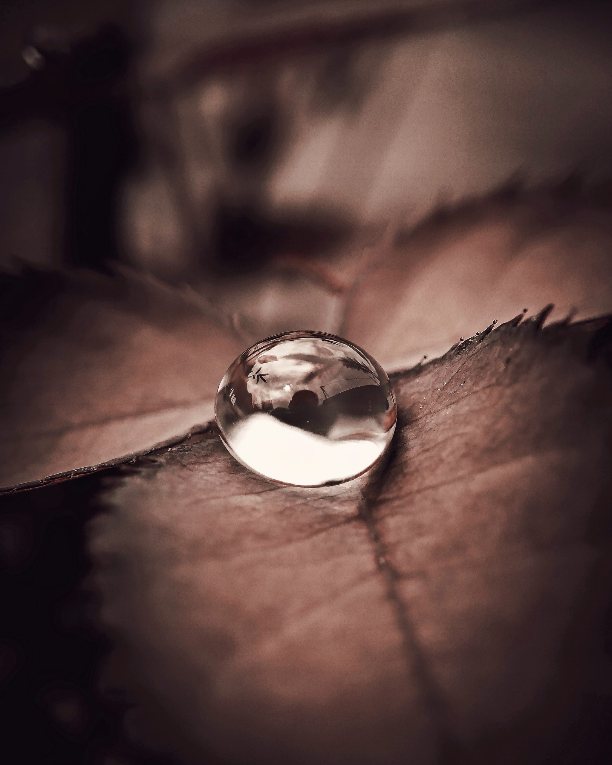 A water drop on leaf
