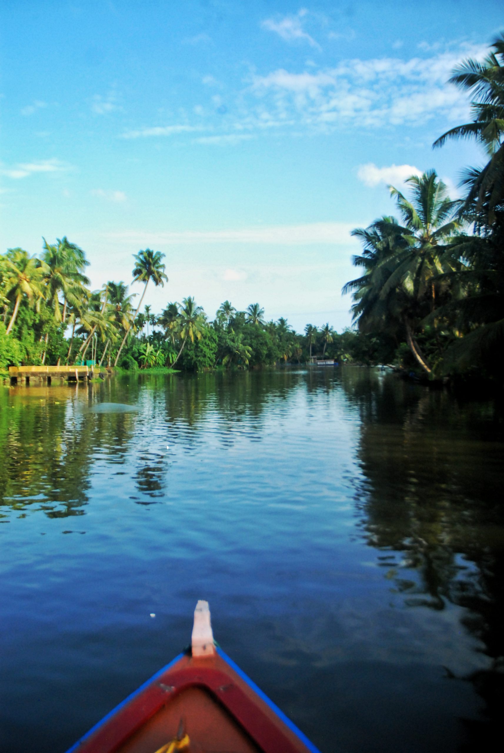 Alleppey backwaters in Kerala.