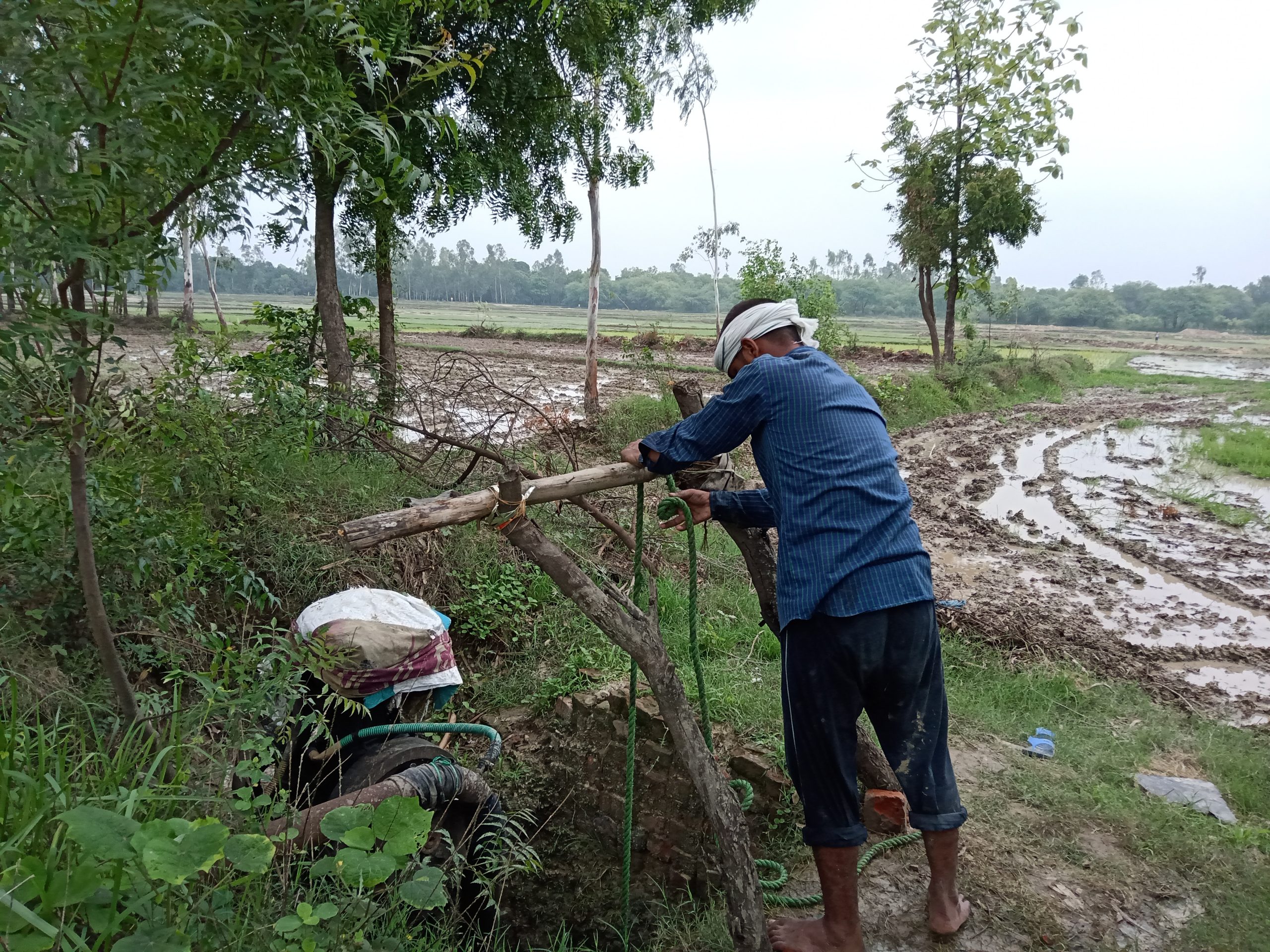 An Indian farmer in his field