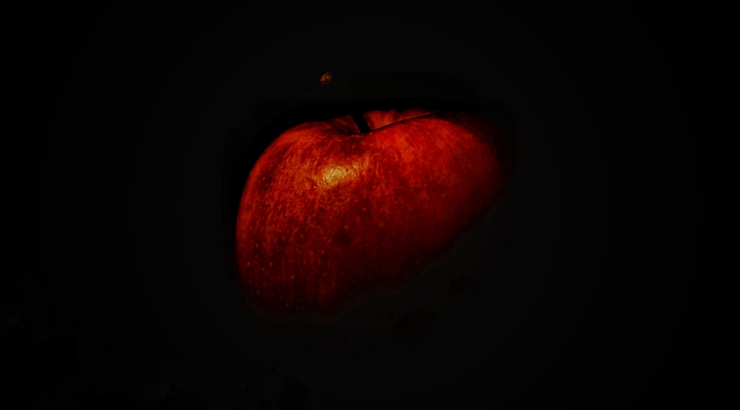 Apple on Dark Background