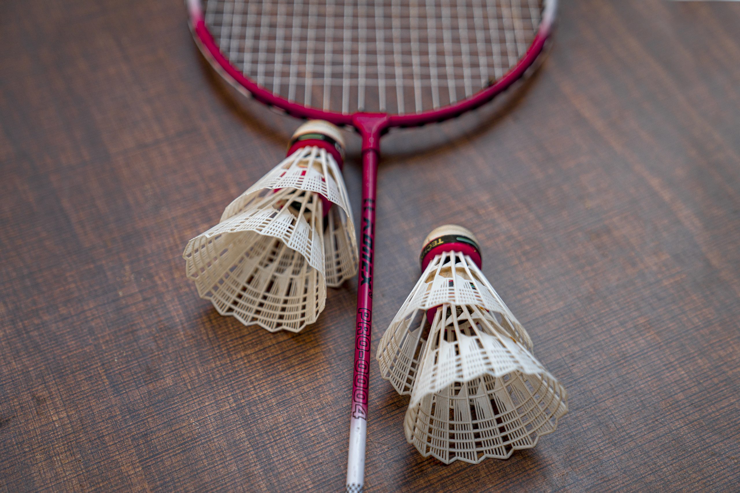 Equipment for badminton