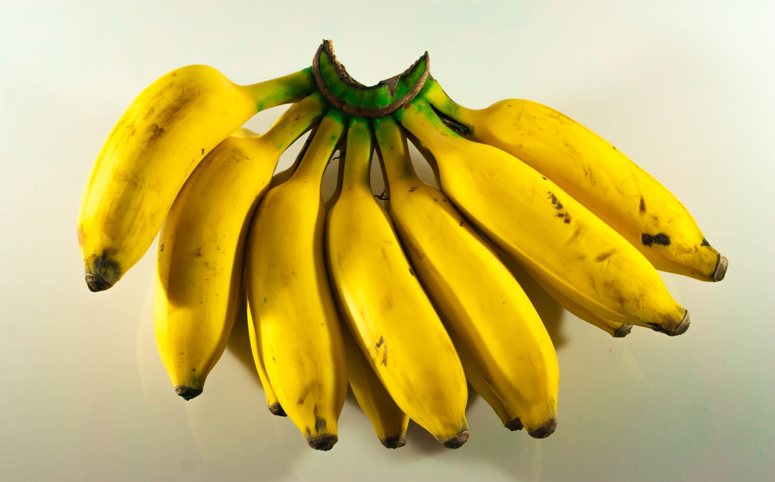Banana fruit bunch on a light background